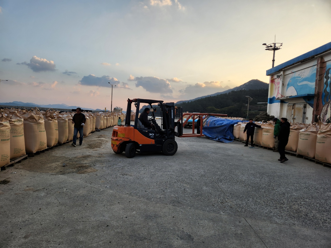 진도군, 공공 비축미 특등 비율 2년 연속 광주·전남 1위 이미지