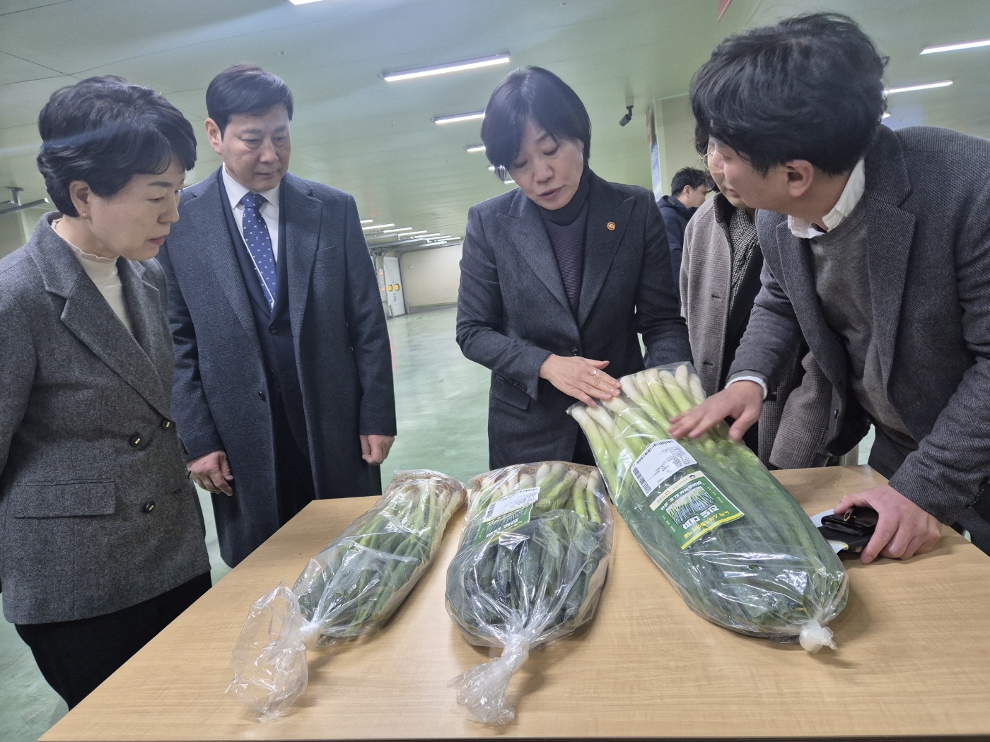 진도군, 스마트농업 기술 적용 대파 계약재배 확대 추진 이미지