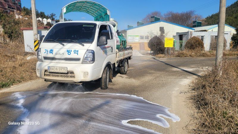 진도군, ‘가축 질병 없는 청정지역 유지’ 위해 공동방제단 운영 이미지