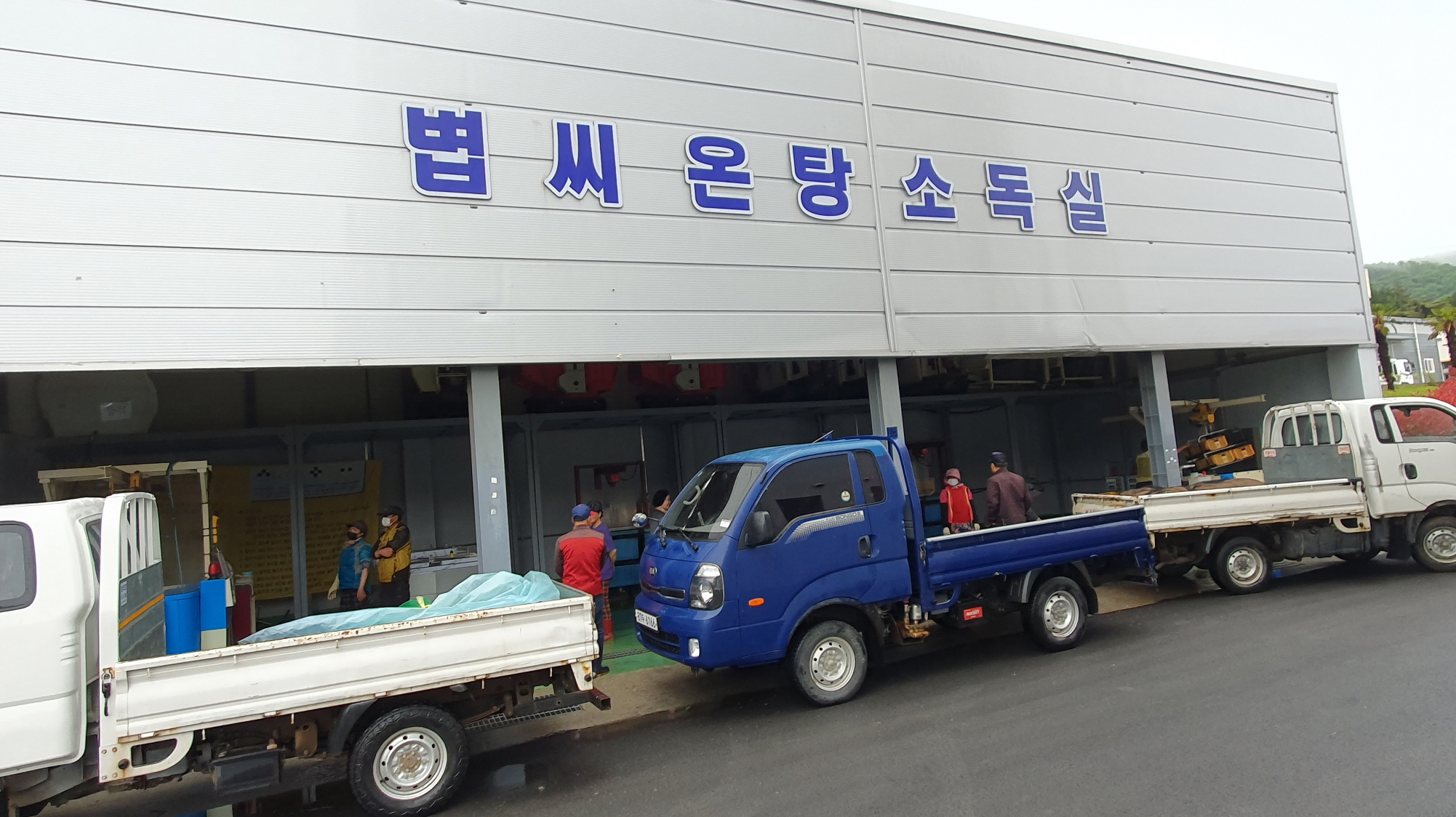 진도군, ‘친환경 온탕소독장 운영’ 이미지