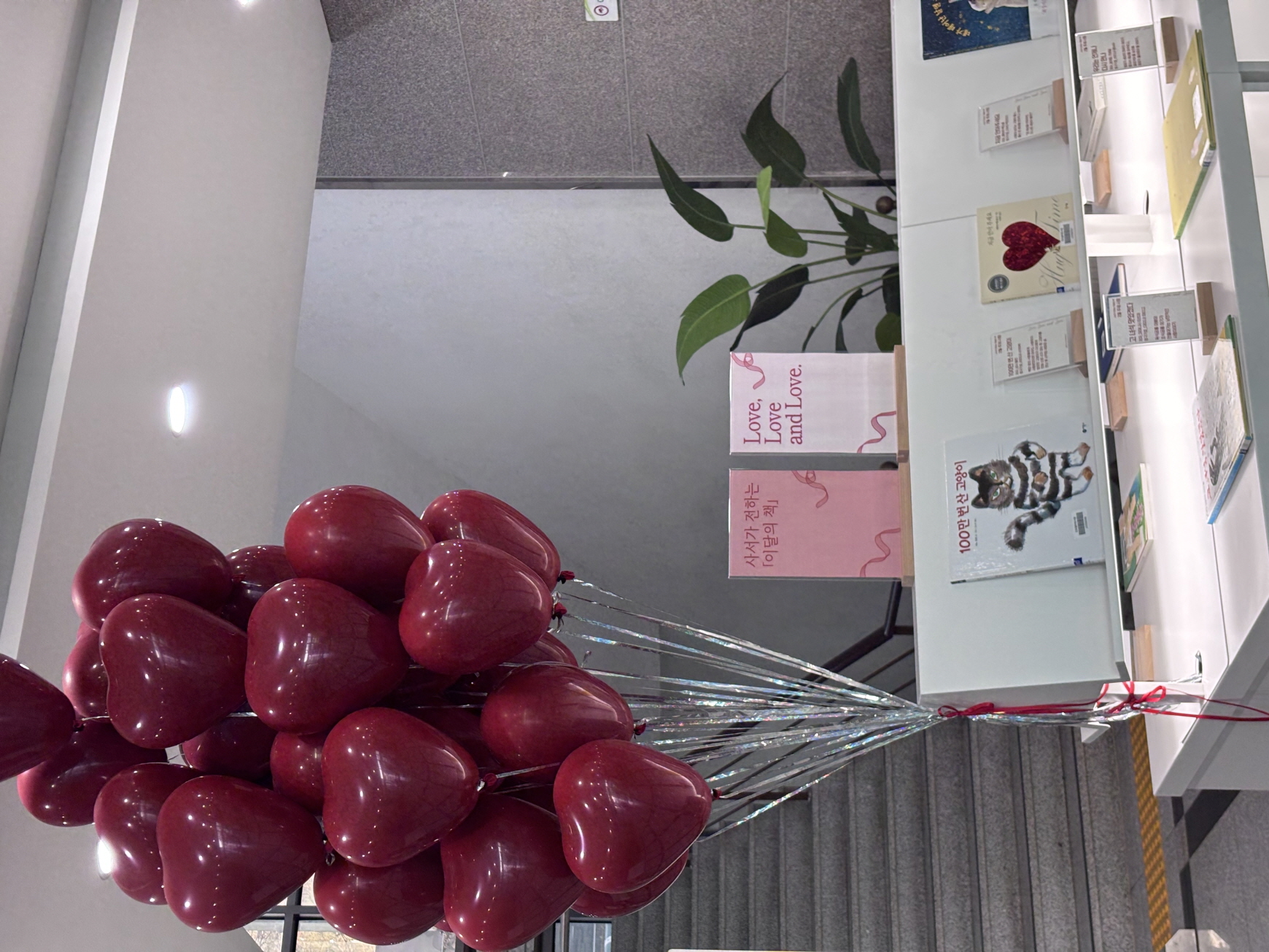 진도 철마도서관, 북큐레이션 운영 ‘사서가 전하는 이달의 책’ 이미지