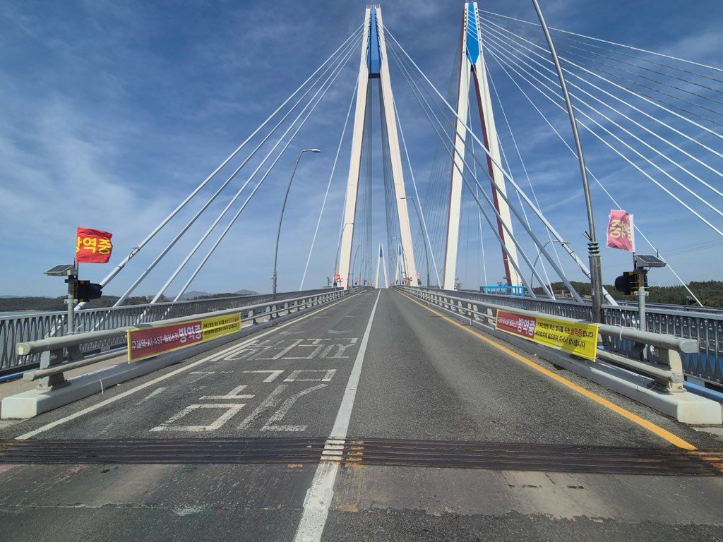 진도군, 신비의바닷길 축제 대비 구제역 차단 총력 이미지