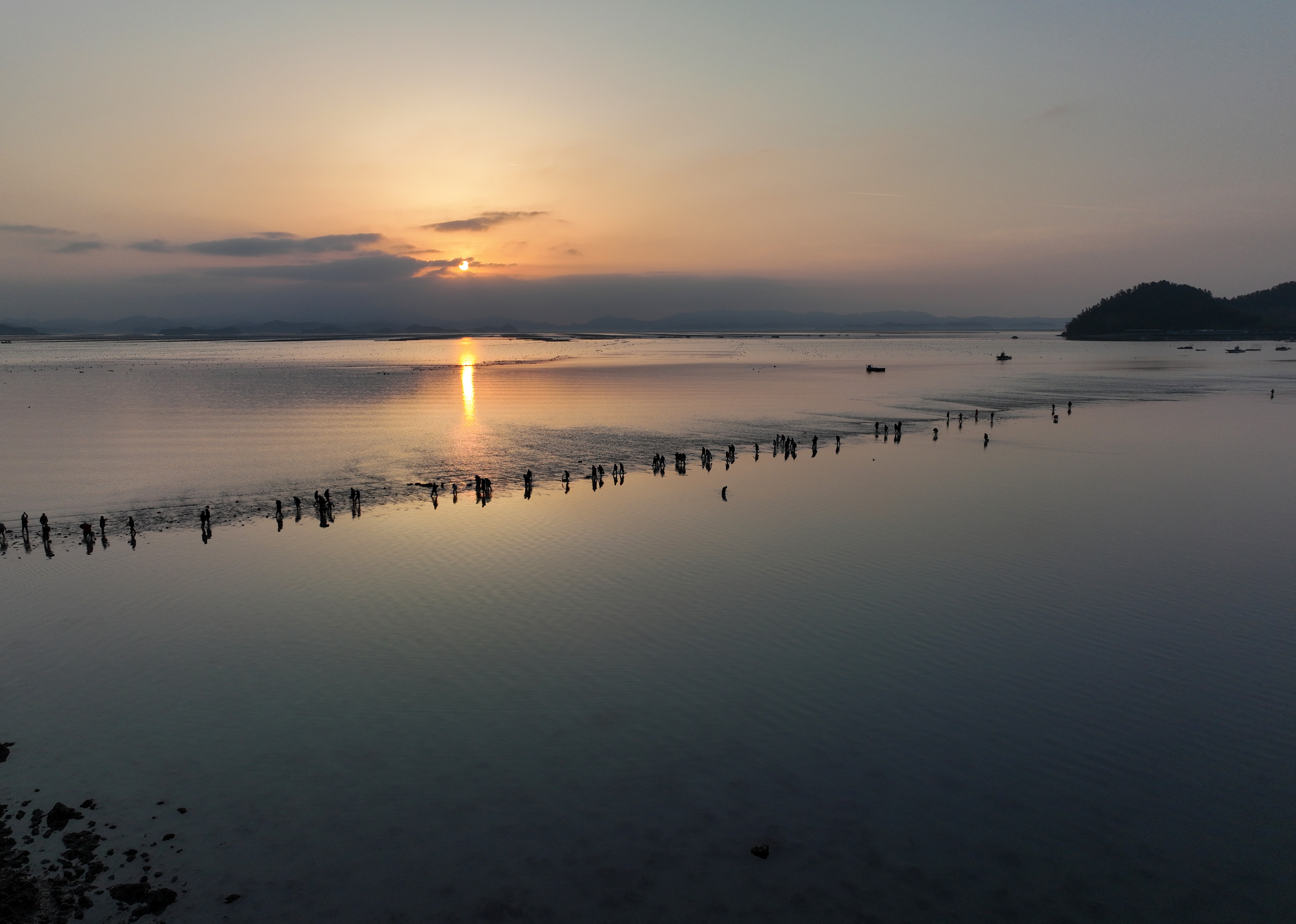 제45회 진도 신비의바닷길축제 3일차 이미지