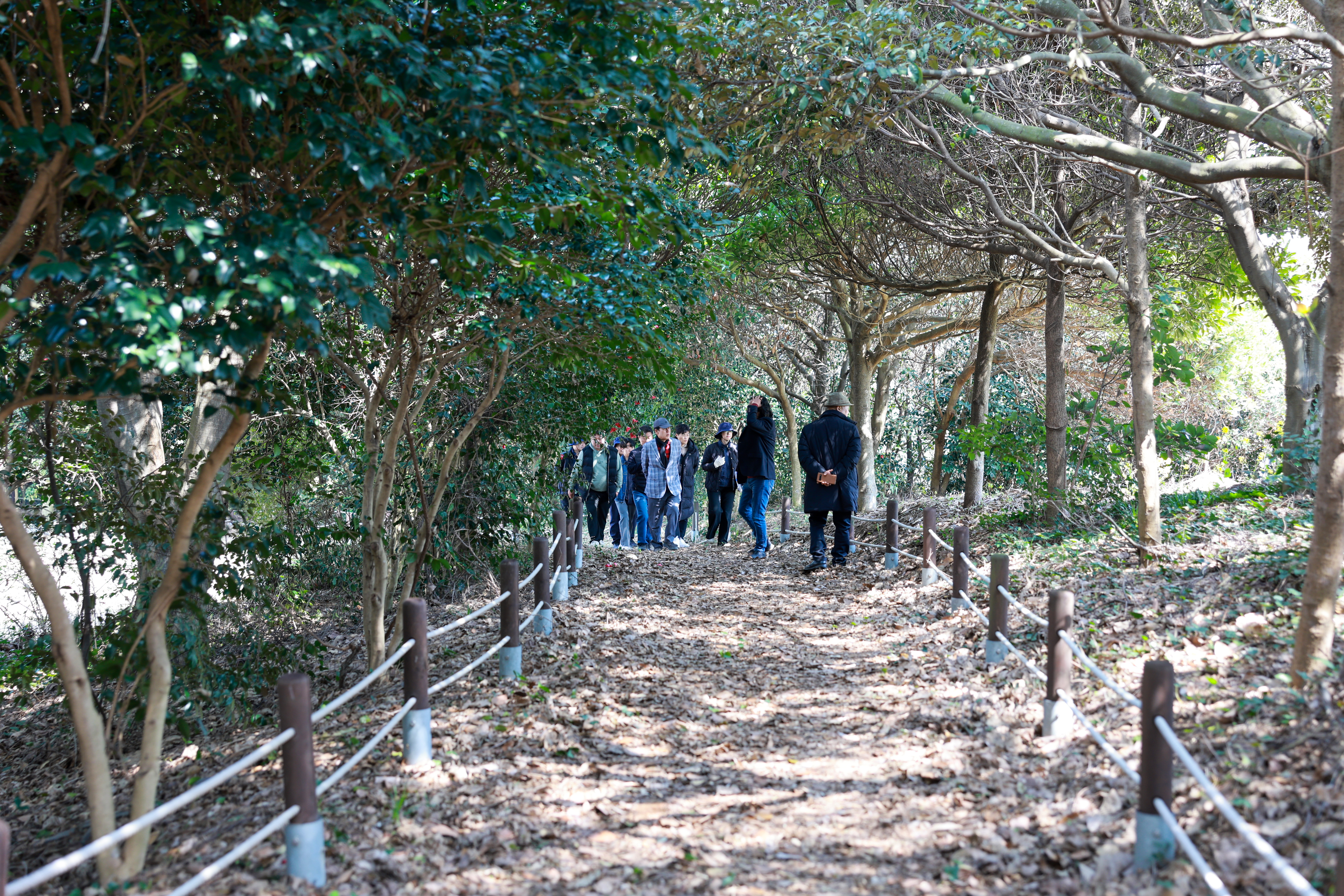 제45회 진도 신비의바닷길축제 3일차 첨부#5