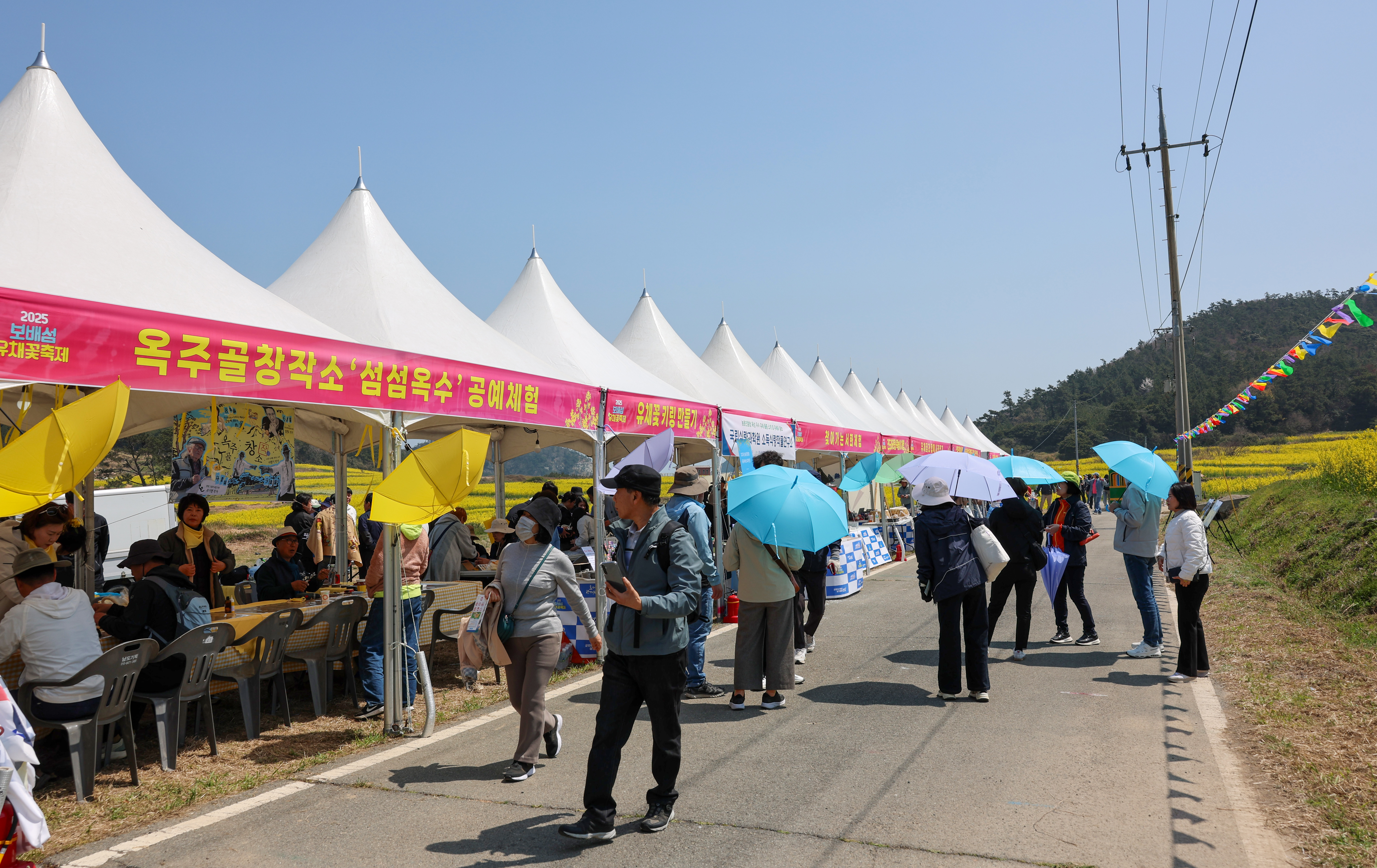 2025 보배섬 유채꽃 축제 첨부#4