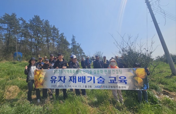 진도군 농업기술센터, 고품질 유자 생산을 위한 현장 컨설팅 추진 이미지
