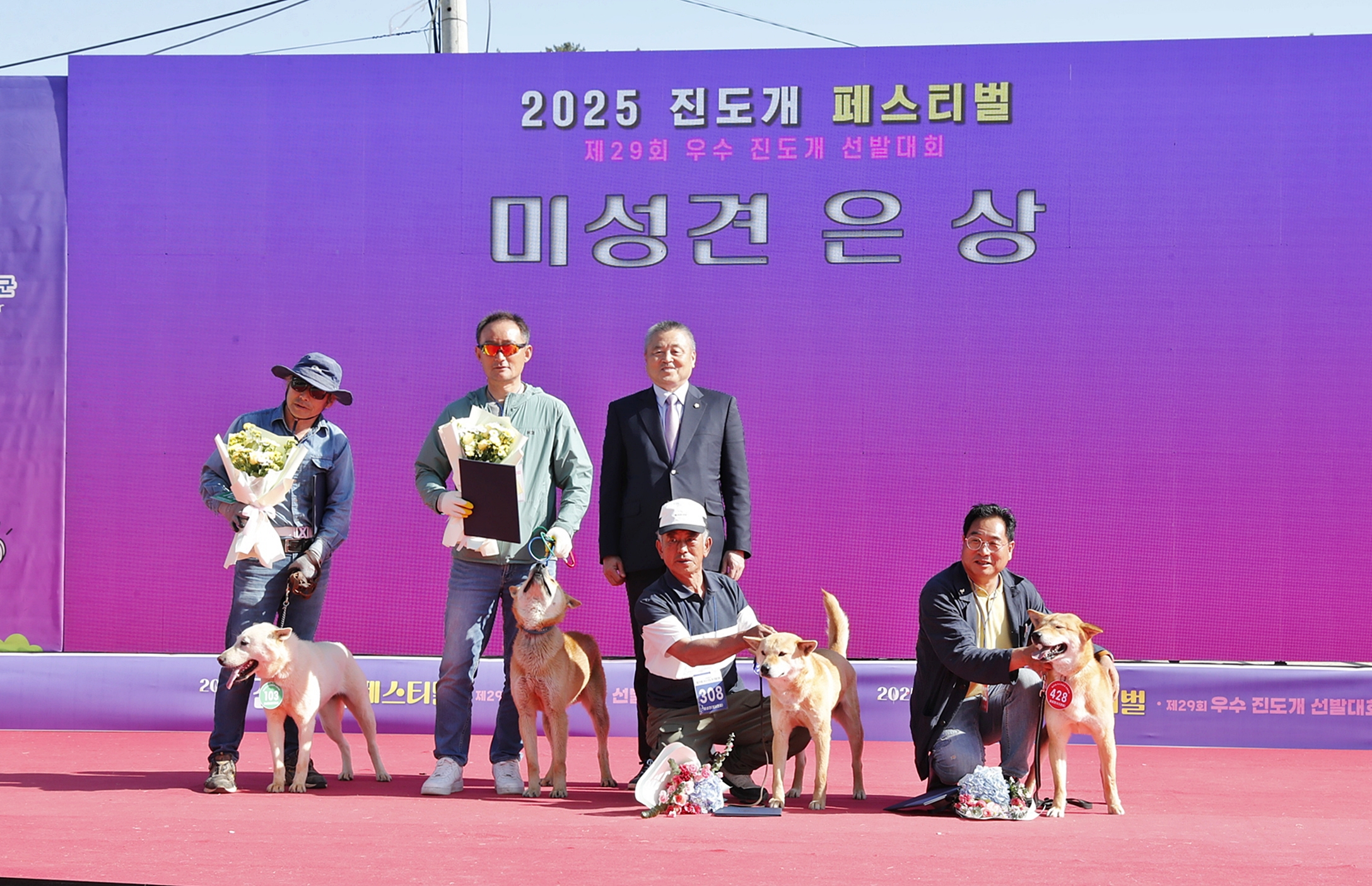 20250503 2025 진도개 페스티벌 및 우수 진도개 선발대회 첨부#2
