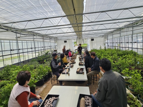 진도군농업기술센터, 꽃피는 진도 화훼연구회 수목 삽목 기술교육·현장 컨설팅 이미지
