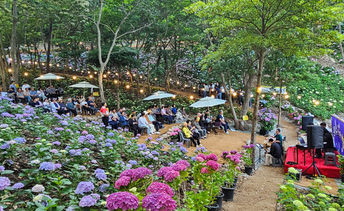 진도군, ‘운림 수국의 밤’ 성료 이미지