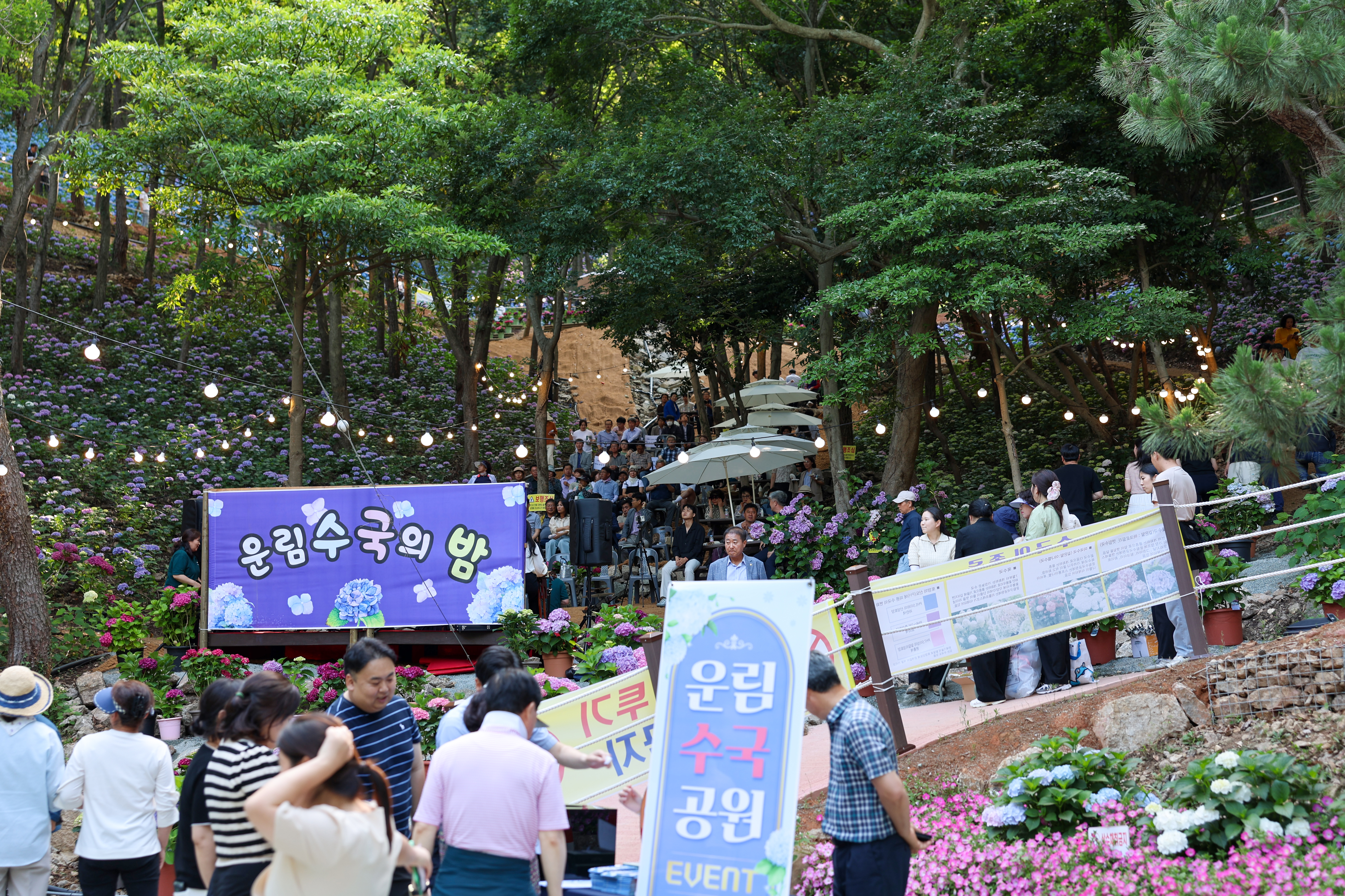 운림수국의 밤 첨부#2