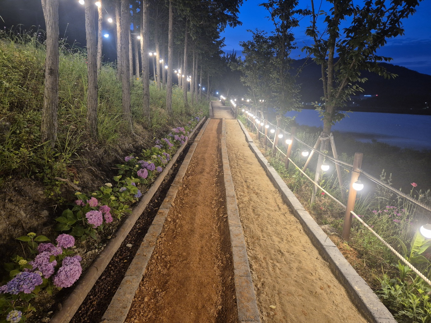 진도군, 동외호수공원 자연 치유형 산책로 조성 이미지