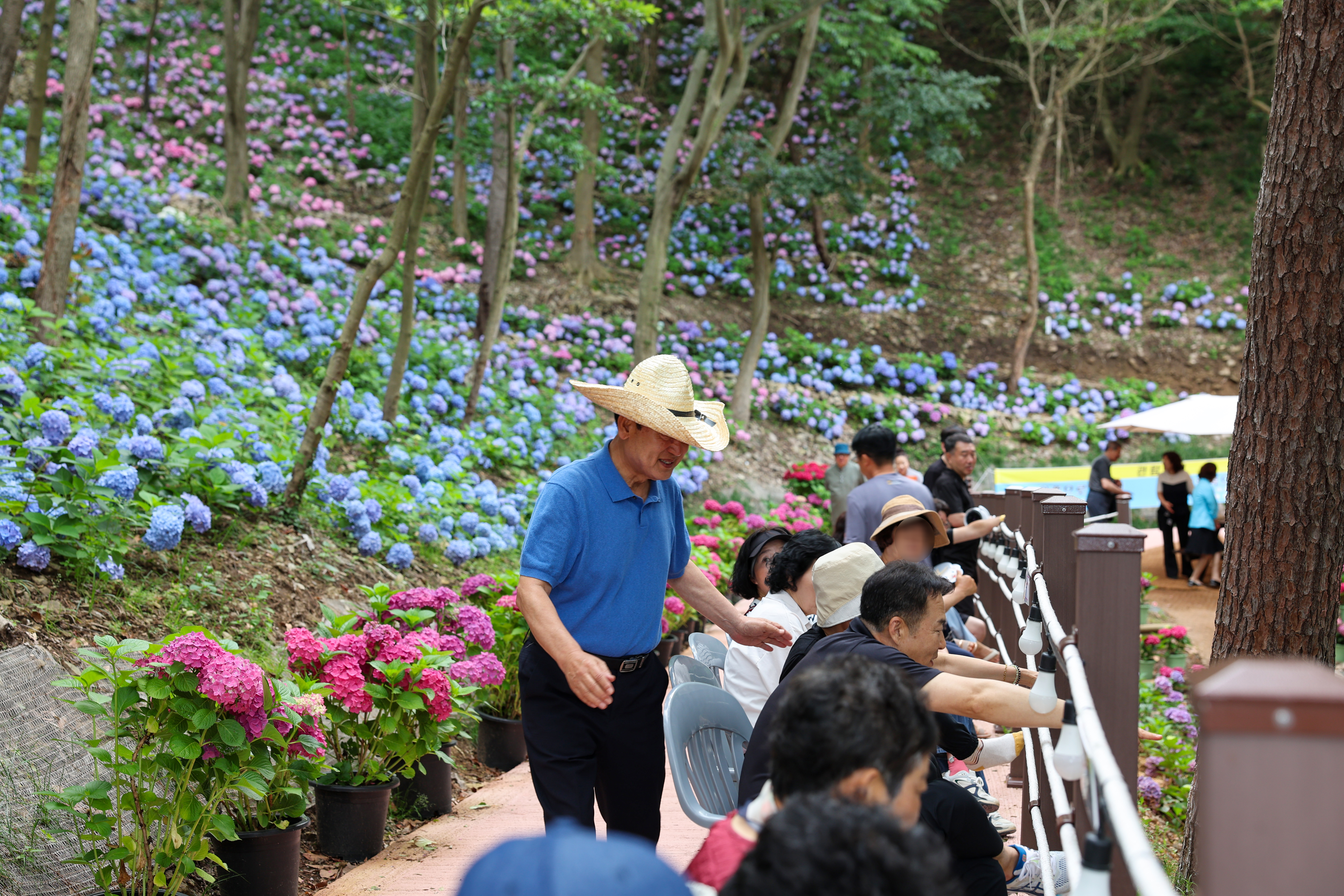 운림 수국의 밤 작은 음악회 첨부#3