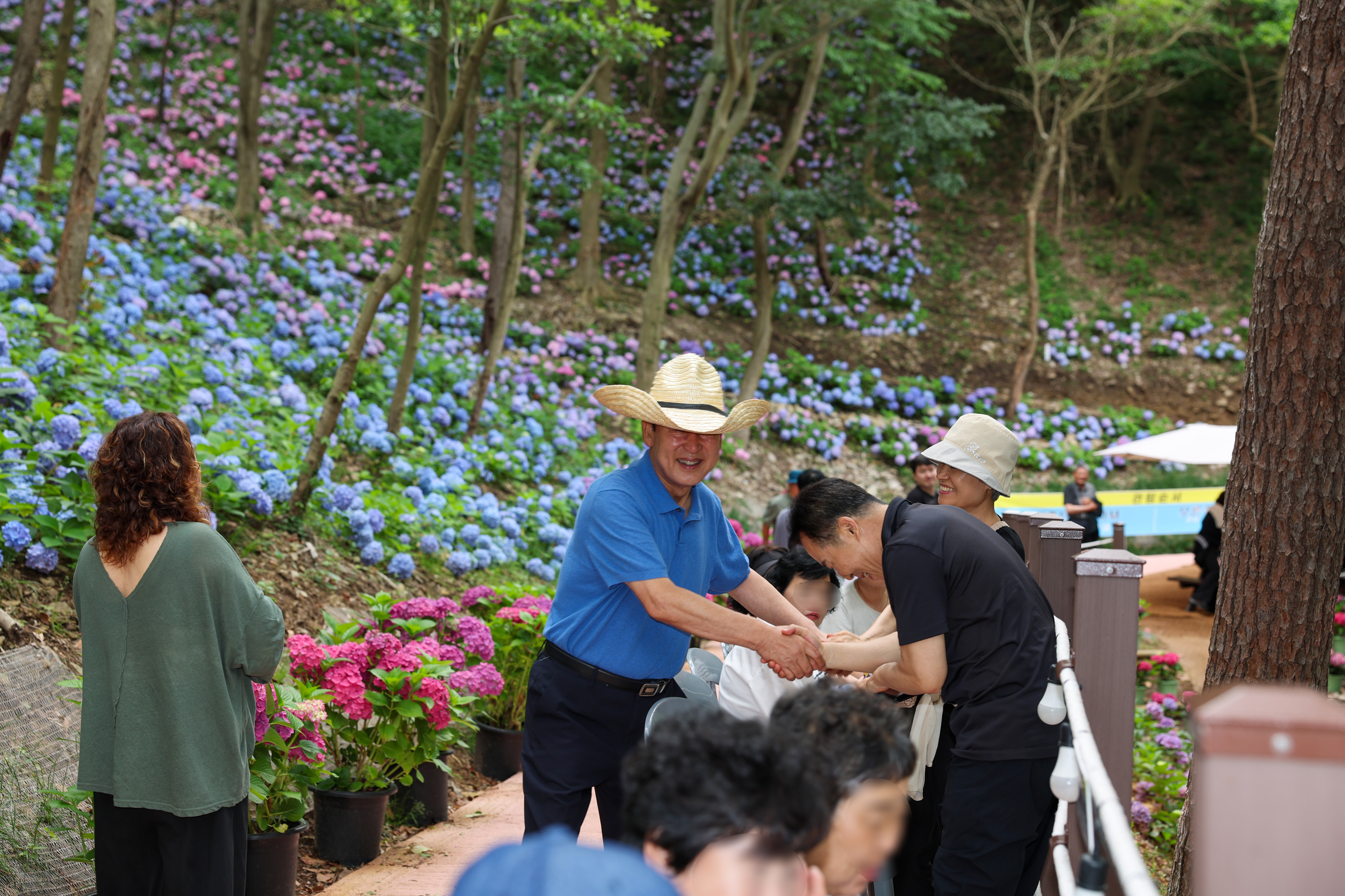 운림 수국의 밤 작은 음악회 첨부#4