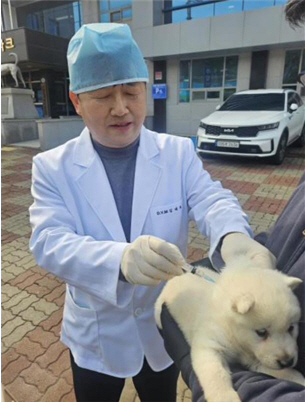 진도군, 천연기념물 진도개 ‘방문 진료’ 큰 호응 이미지