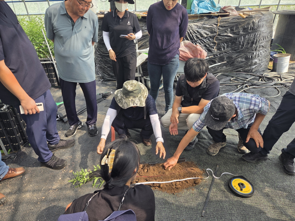 진도군, ‘지초 안정생산 시범사업’ 중간 평가회 개최 이미지
