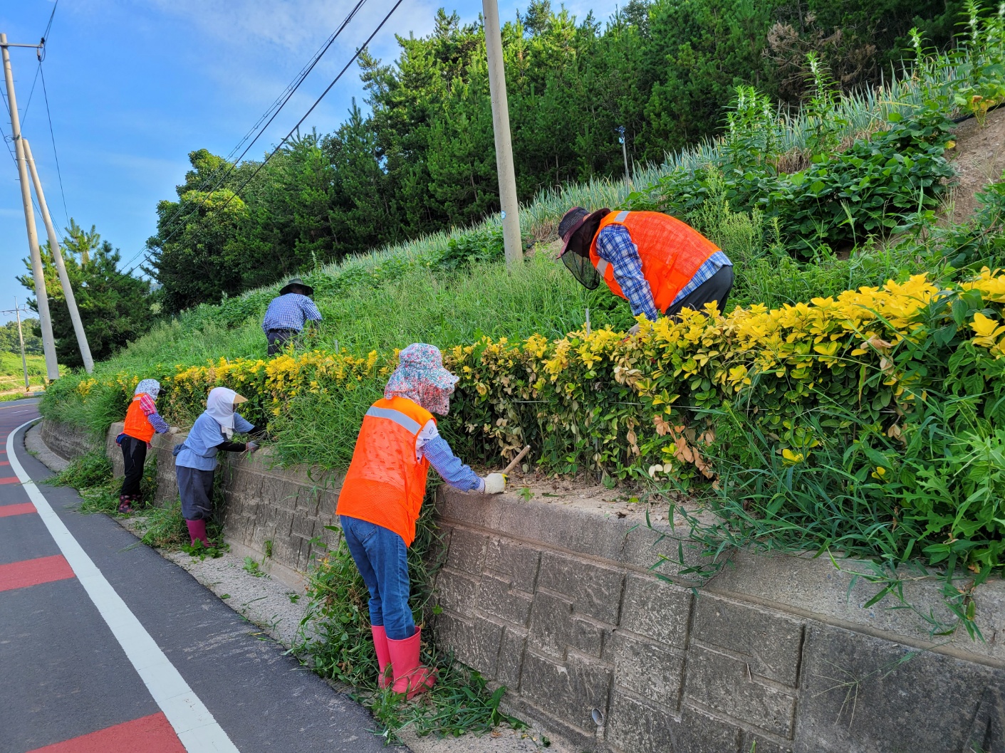 진도군, 2025년 하반기 공공일자리사업 본격 추진 이미지