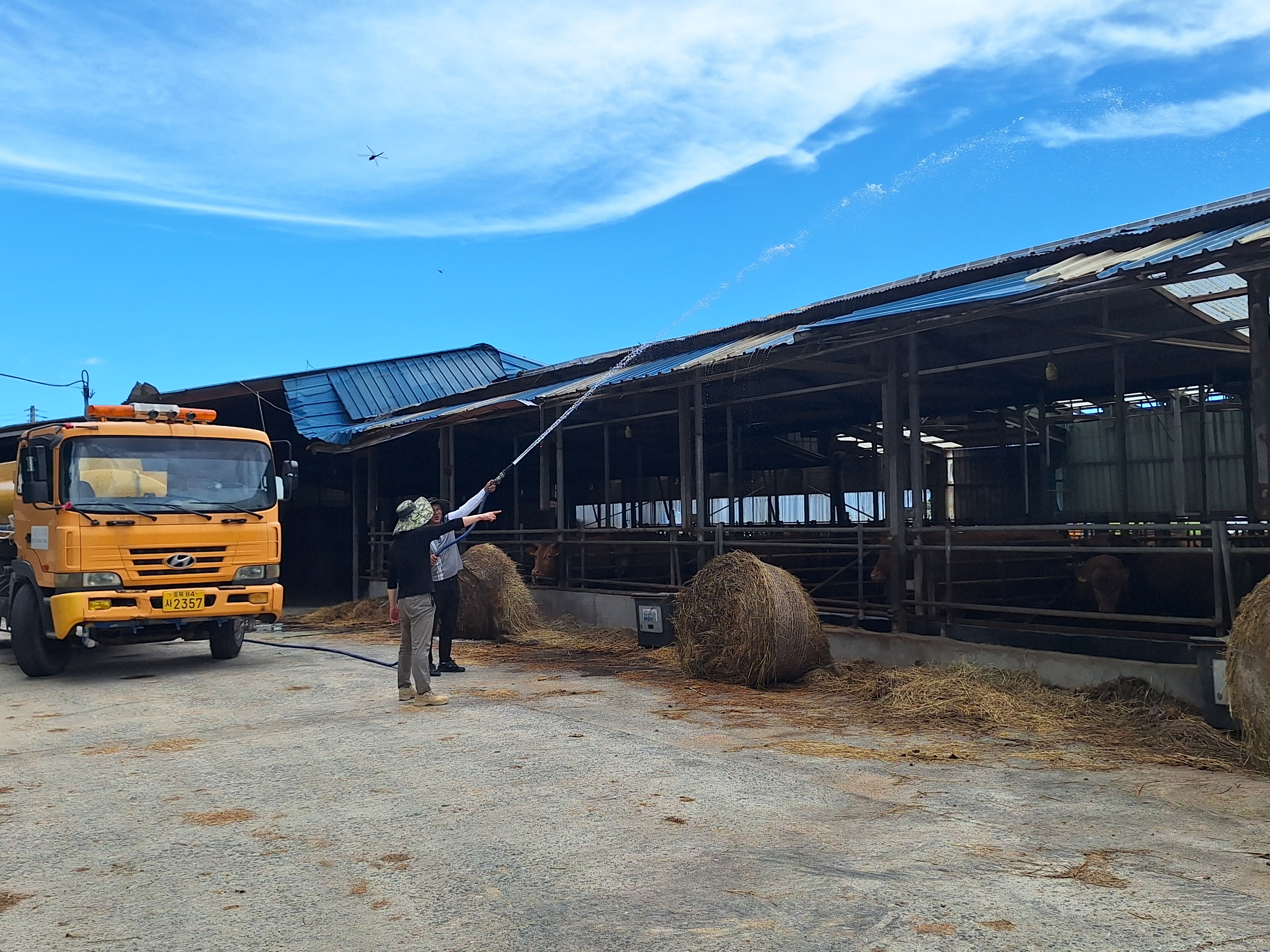 진도군, ‘가축 폭염 피해 선제적 총력 대응’ 이미지