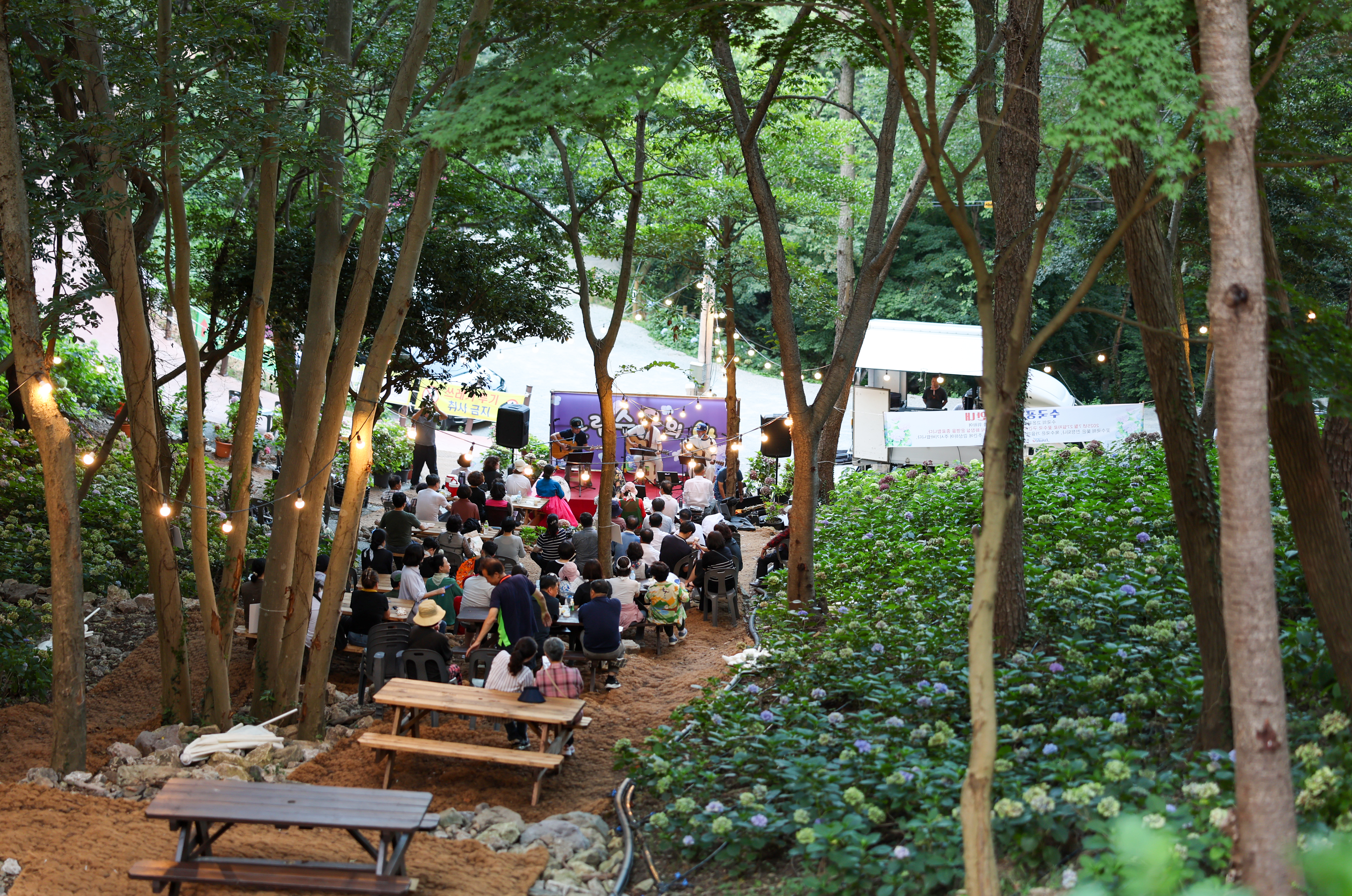 운림수국의 밤 첨부#2