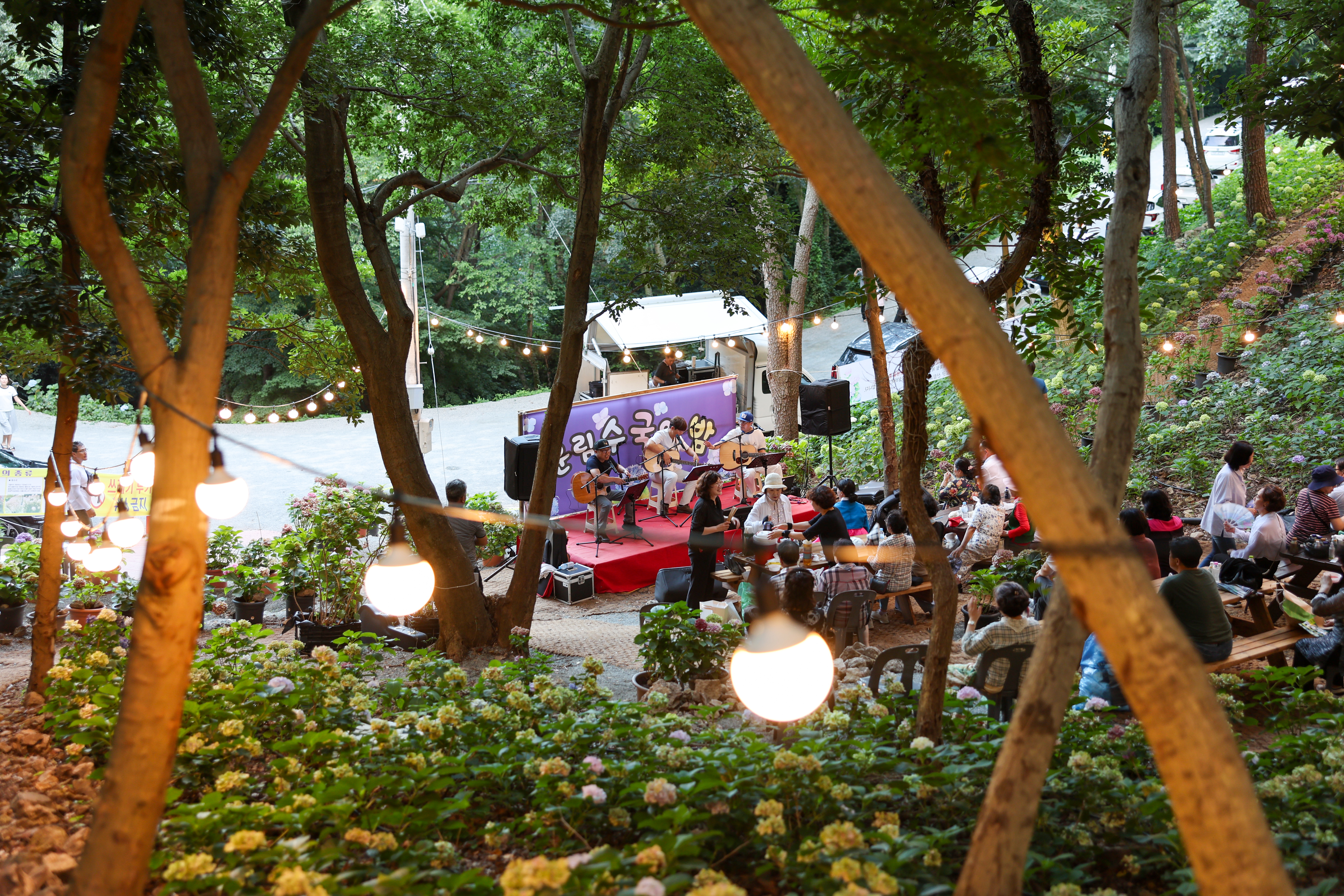 운림수국의 밤 첨부#4