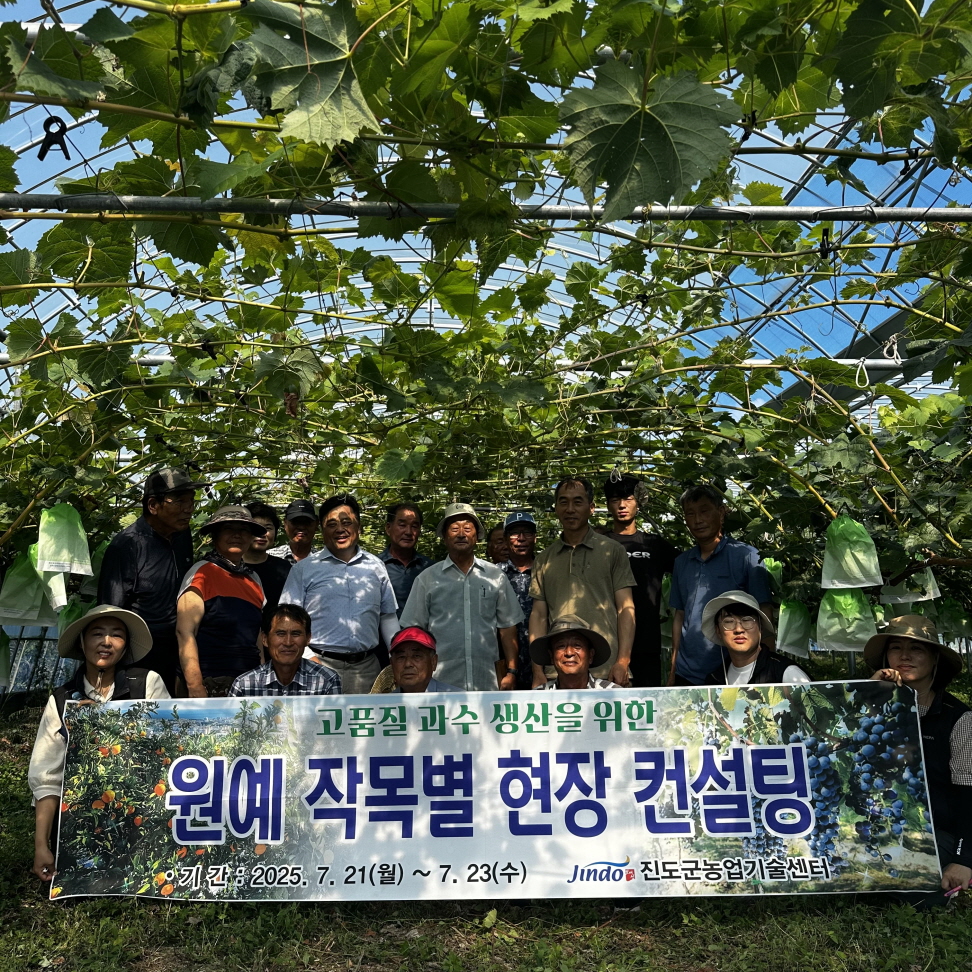 진도군농업기술센터, 감귤류와 포도 농가 대상 맞춤형 현장 전문 컨설팅 이미지