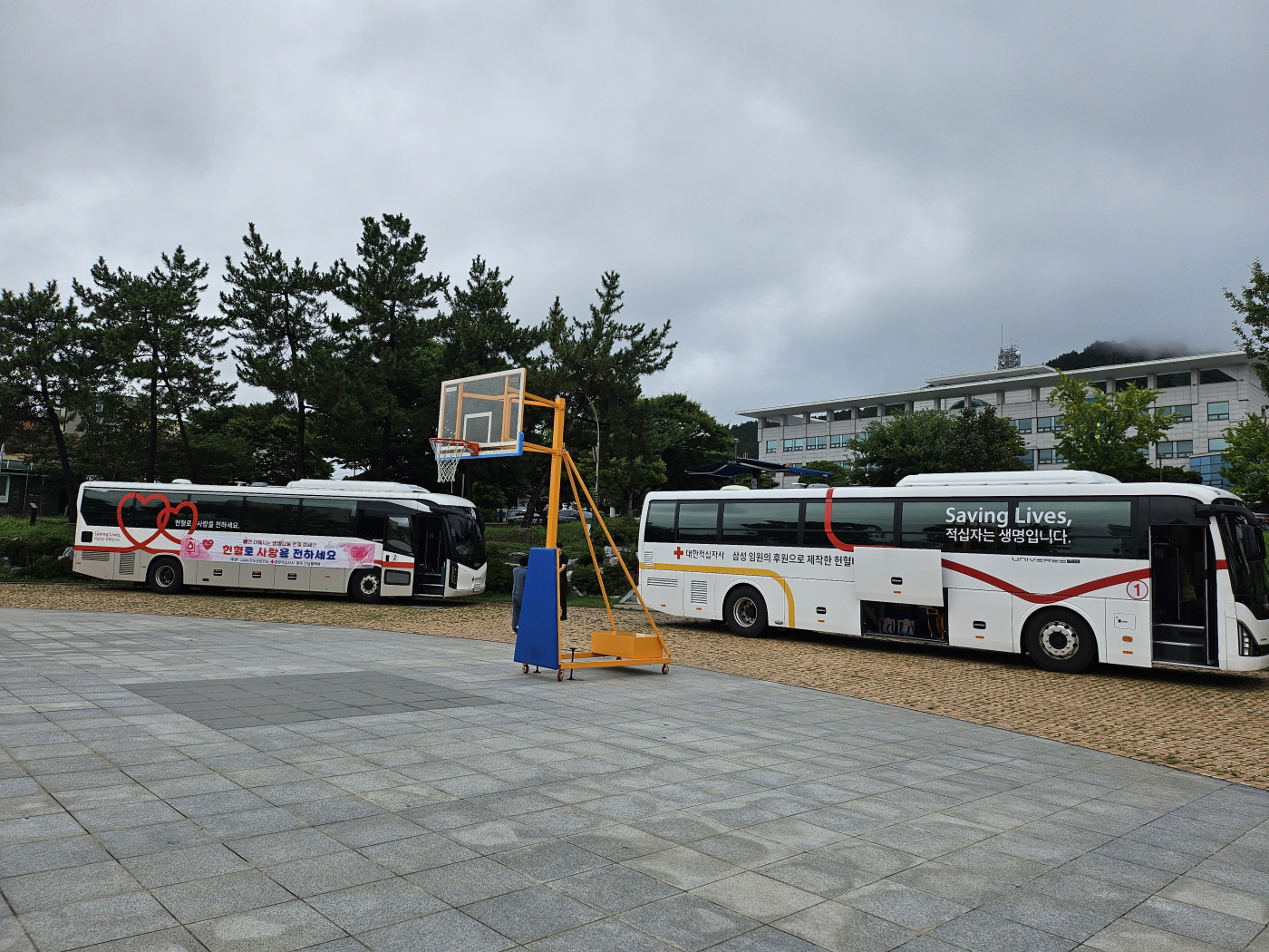 진도군, 하절기 ‘생명나눔 사랑의 헌혈’ 이미지
