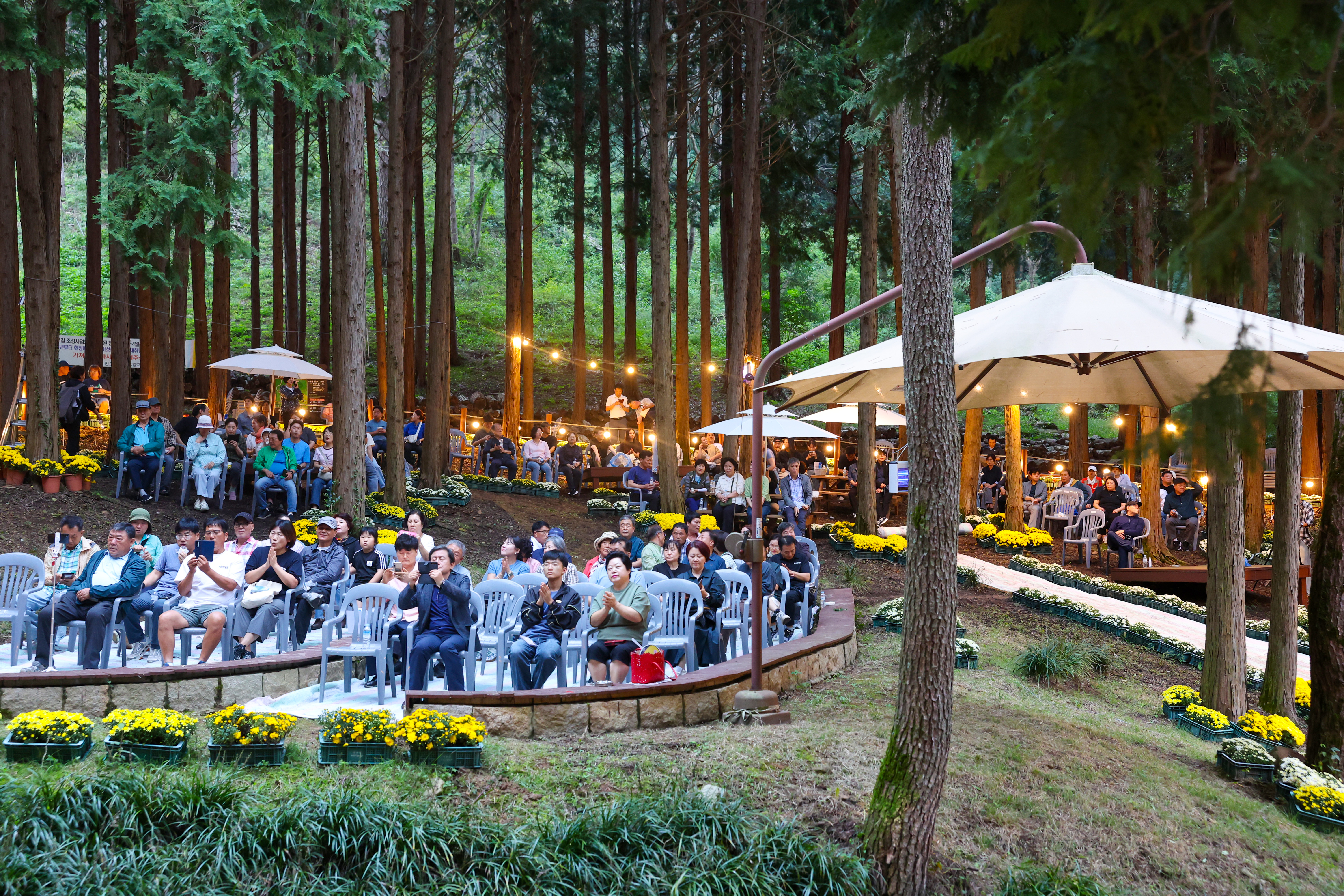 2025년 꽃무릇 숲속 음악회 첨부#3