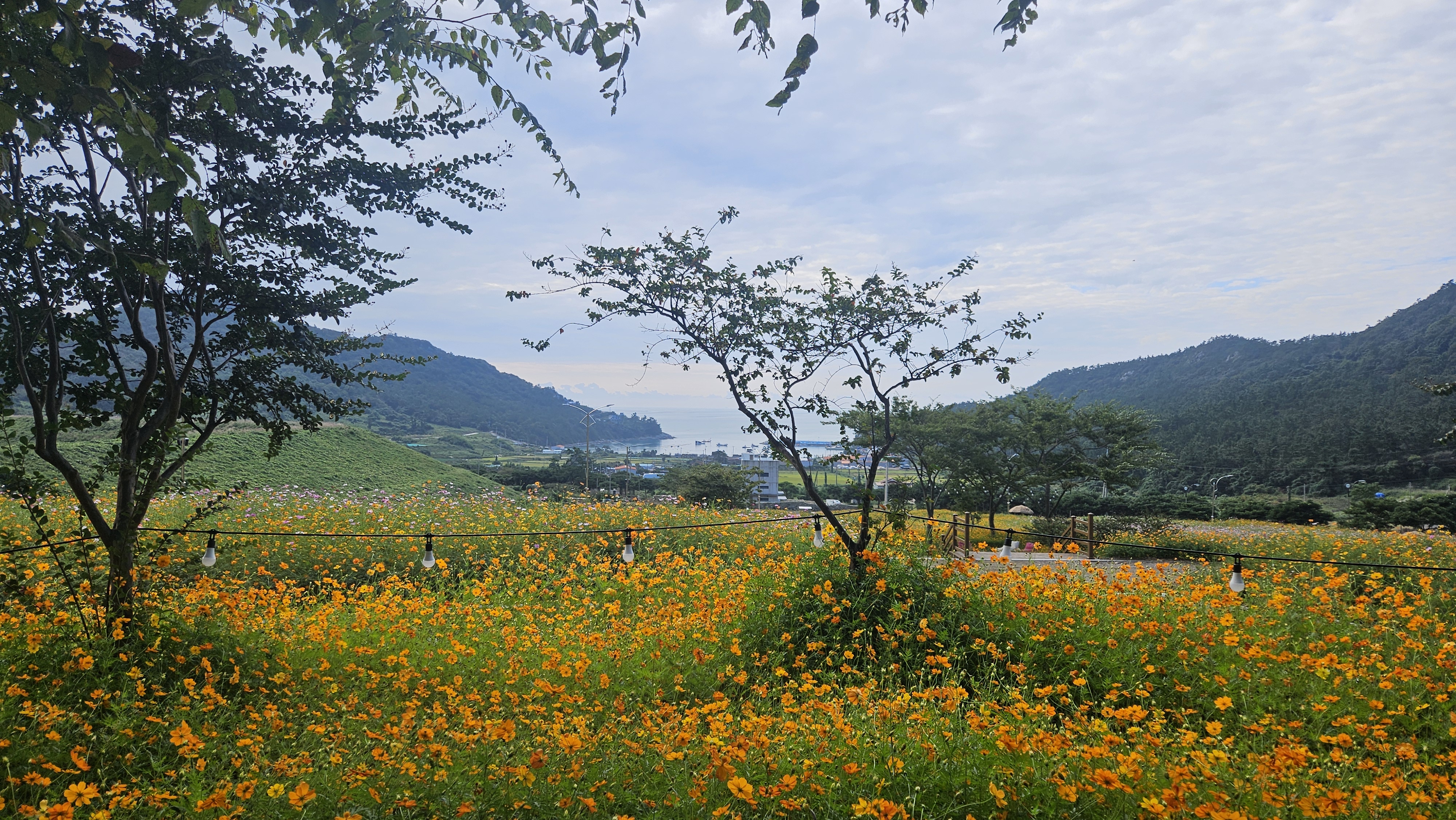 아리랑 마을 김병철 주무관님 감사 드립니다. 첨부#2
