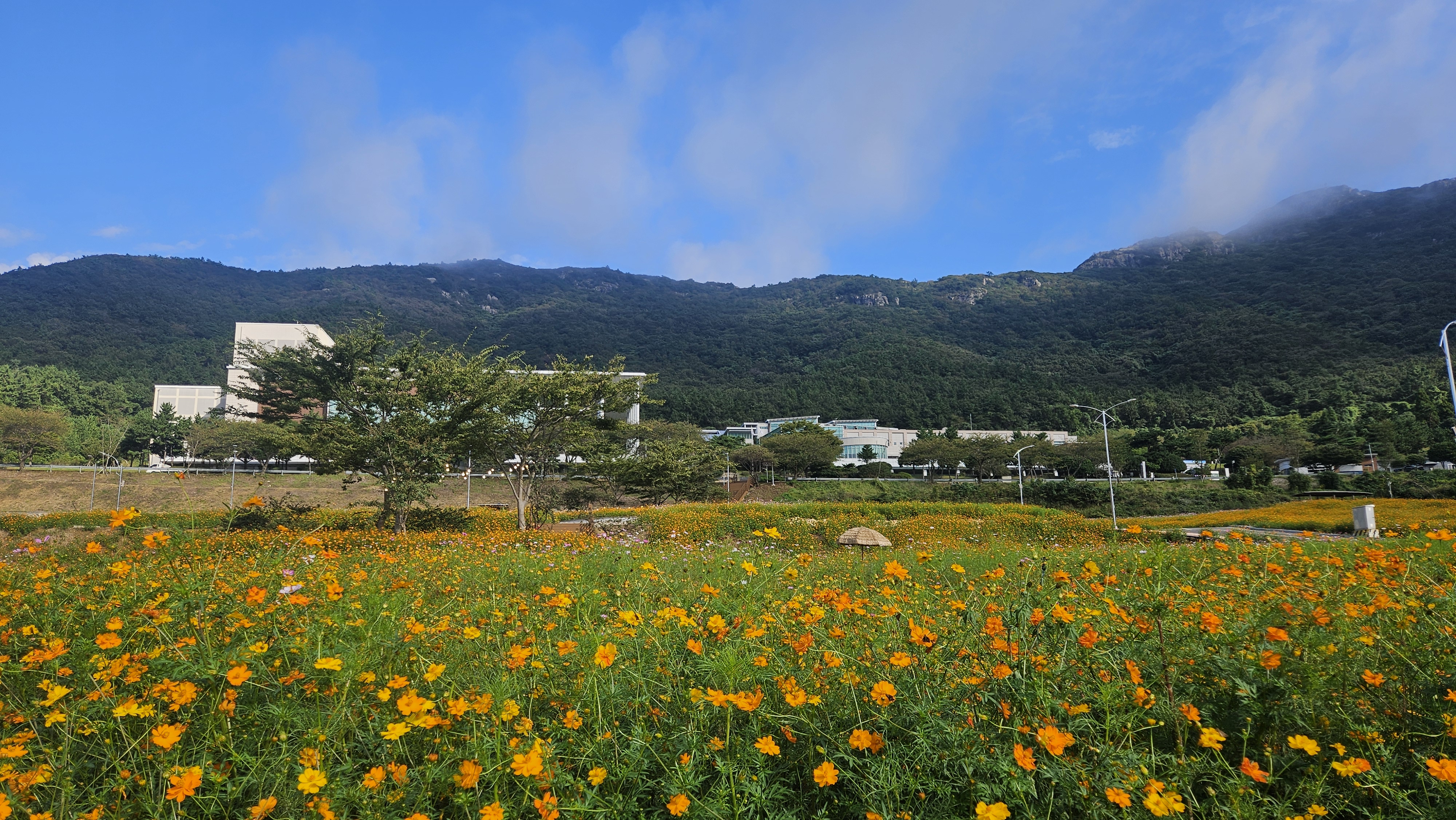 아리랑 마을 김병철 주무관님 감사 드립니다. 첨부#4
