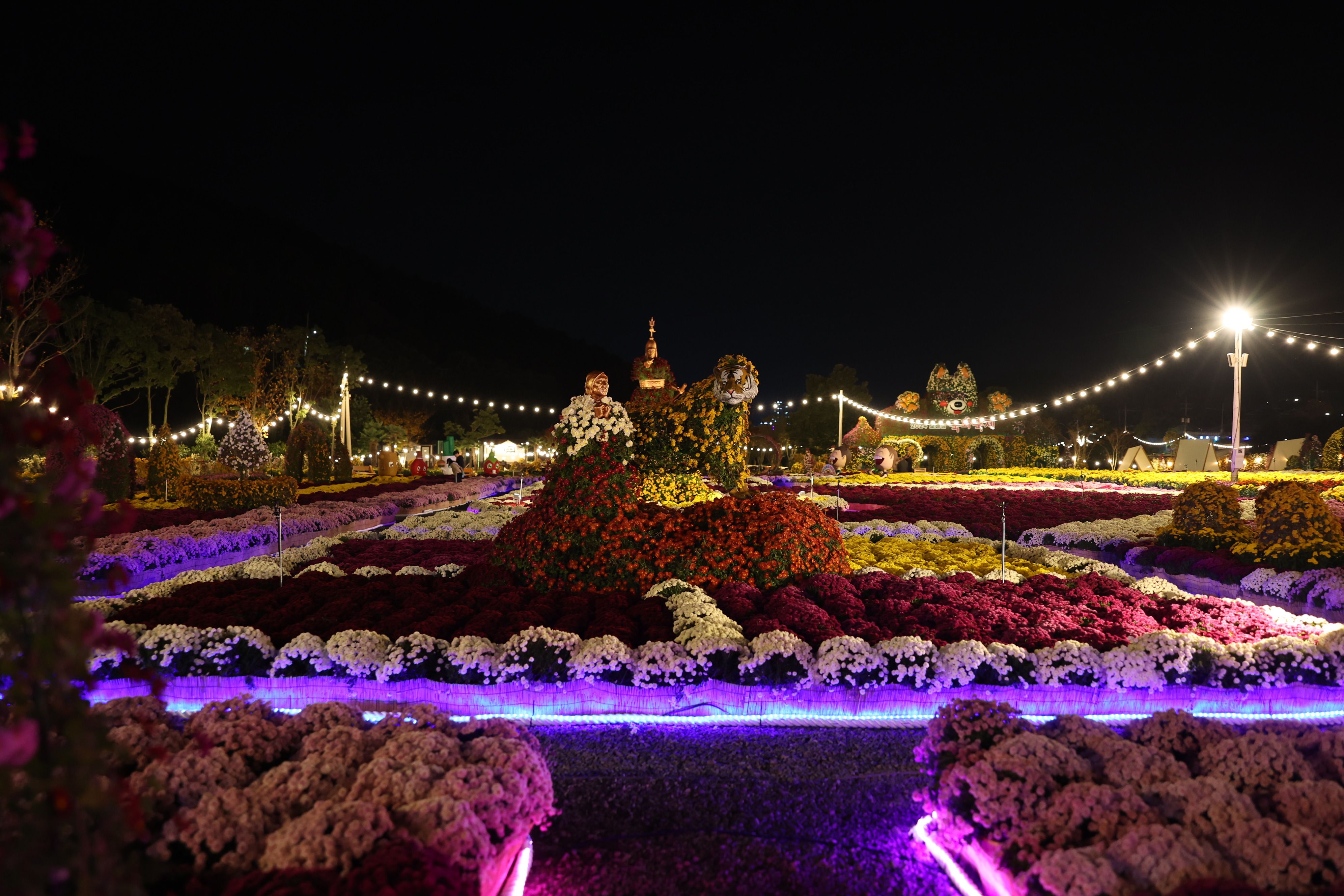 국화축제 이미지