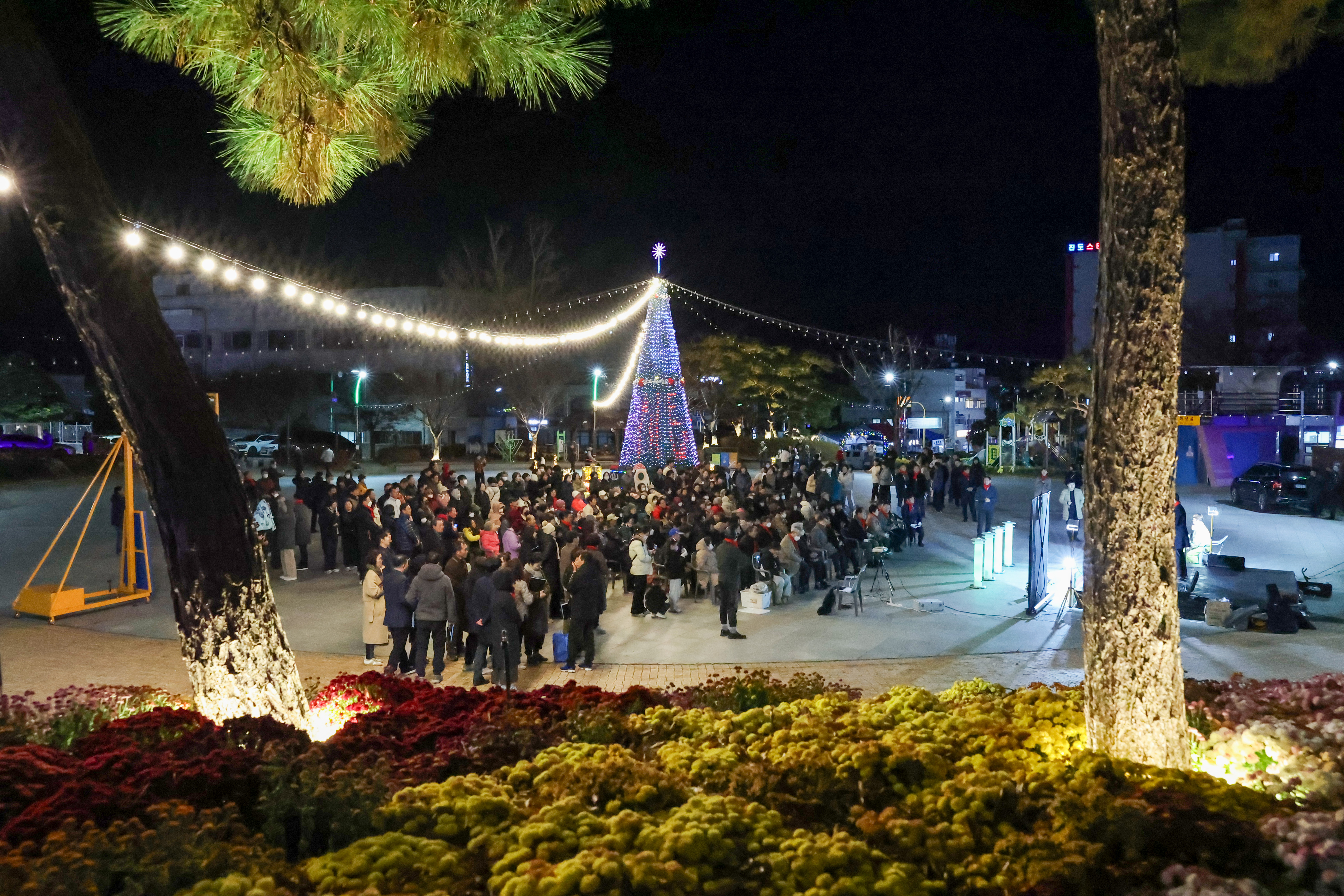 성탄절 트리 점등식 이미지