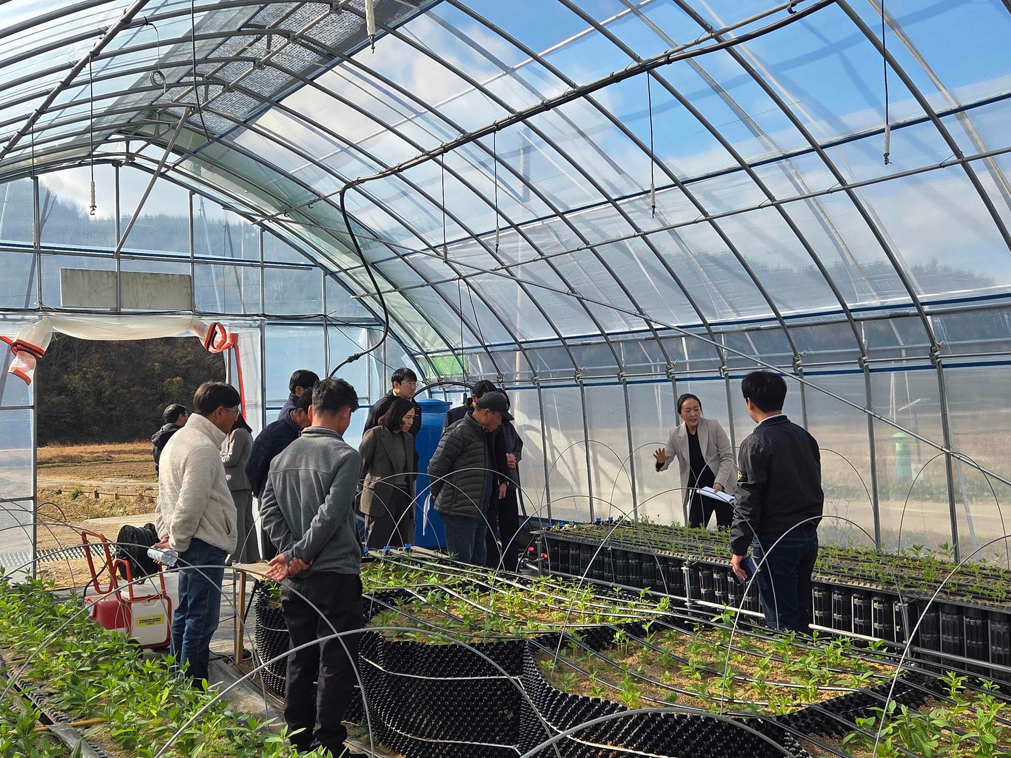 진도군, ‘지초 시범사업 결과평가회’… 지초 재배 기술 향상 이미지