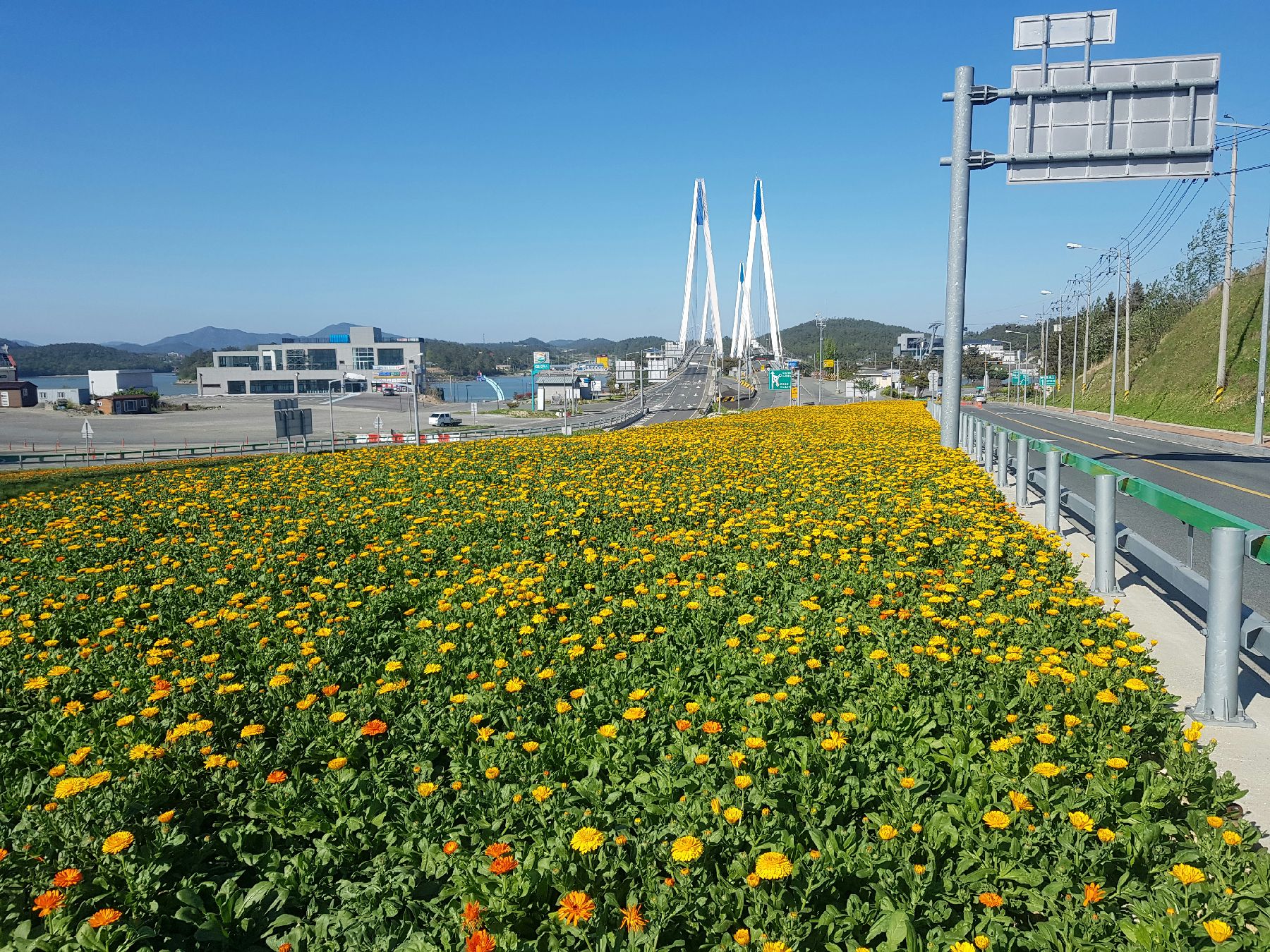 진도군, 365 꽃피는 진도 만들기 ‘활발’(4-8-65) 2023.5.10. 첨부#1
