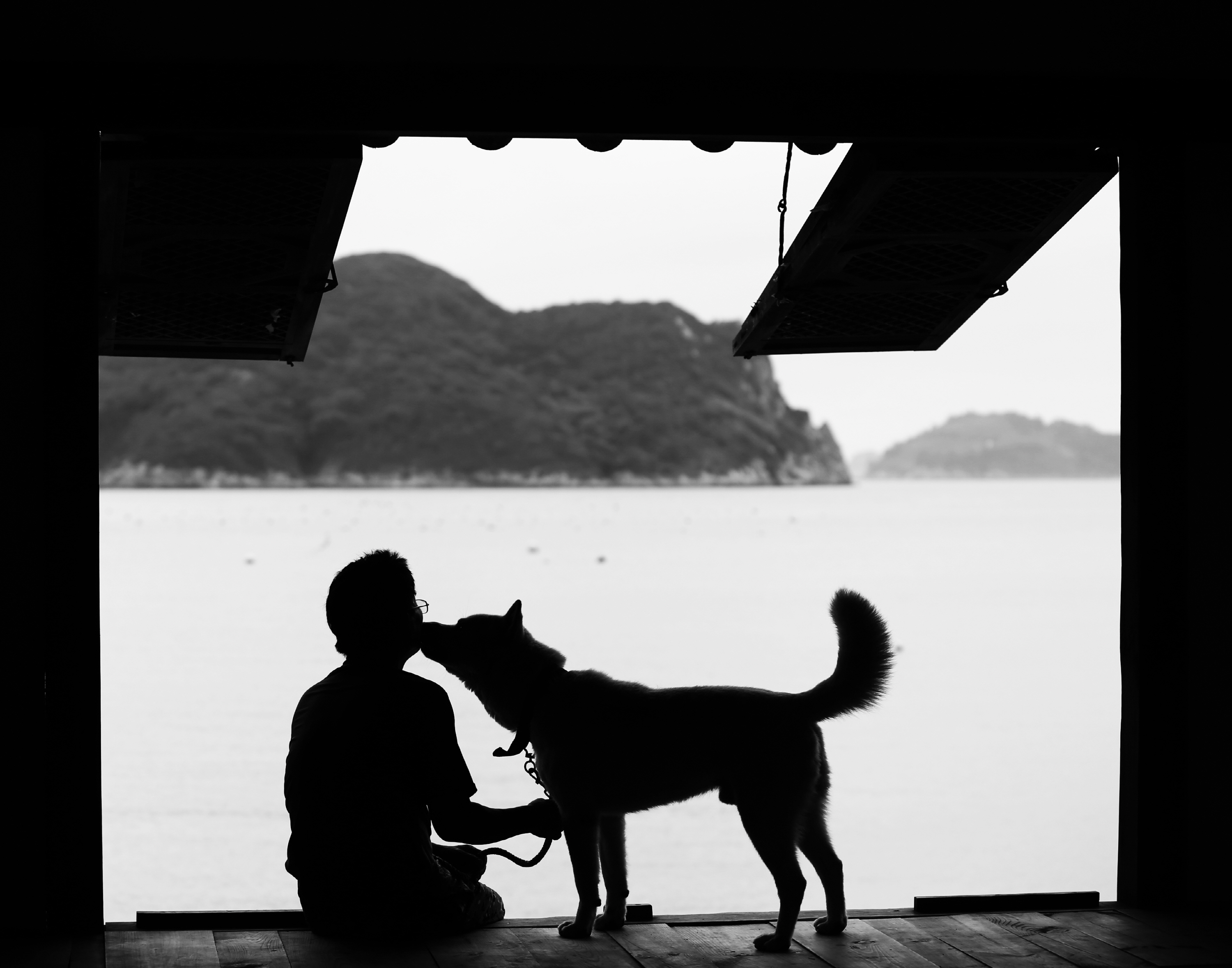 진도군, 천연기념물 진도개 보존관리비 지급 완료(1-2-22) 2025.10.14. 첨부#1