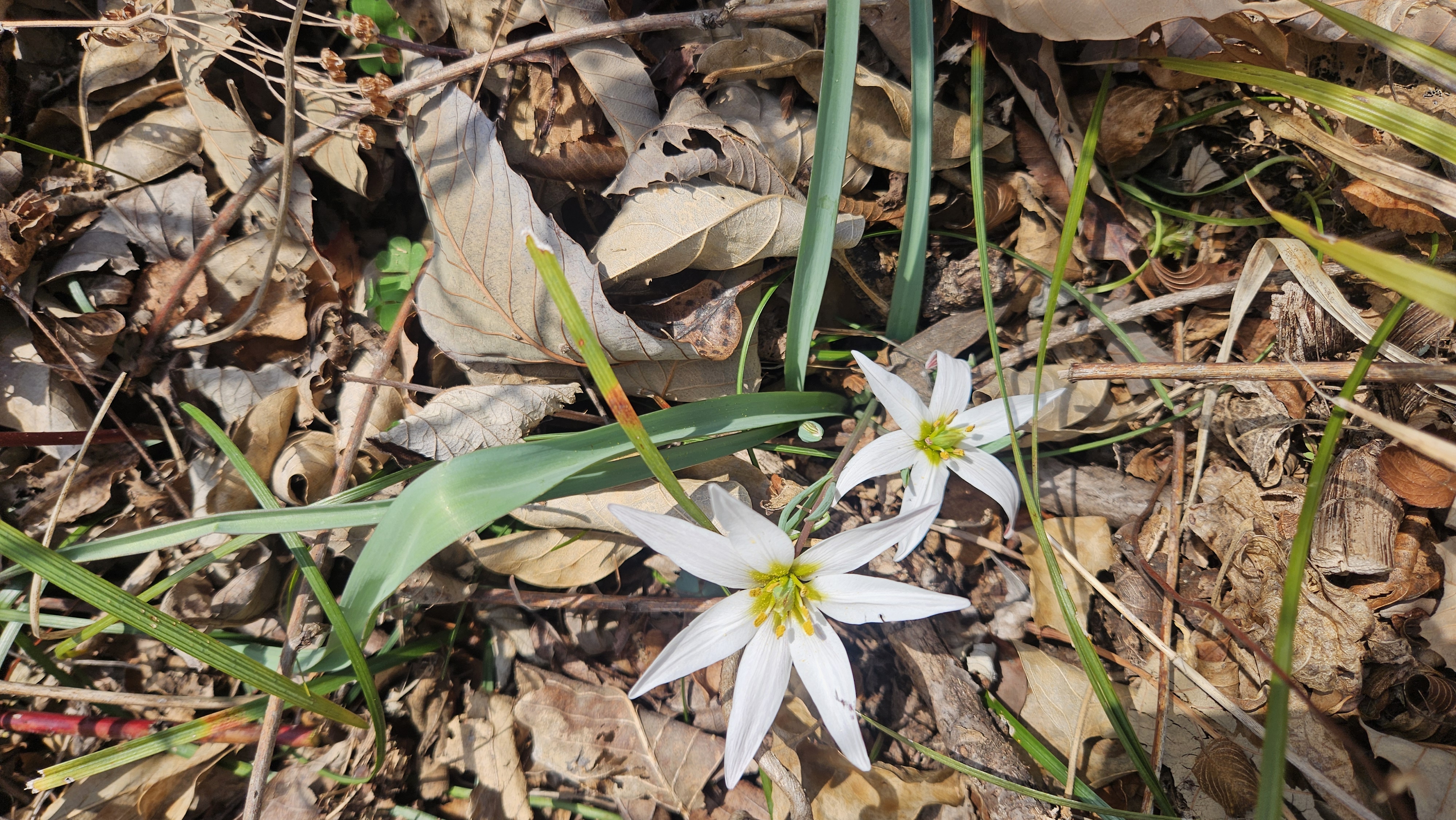 수고하신분들을 칭찬합니다. 첨부#1