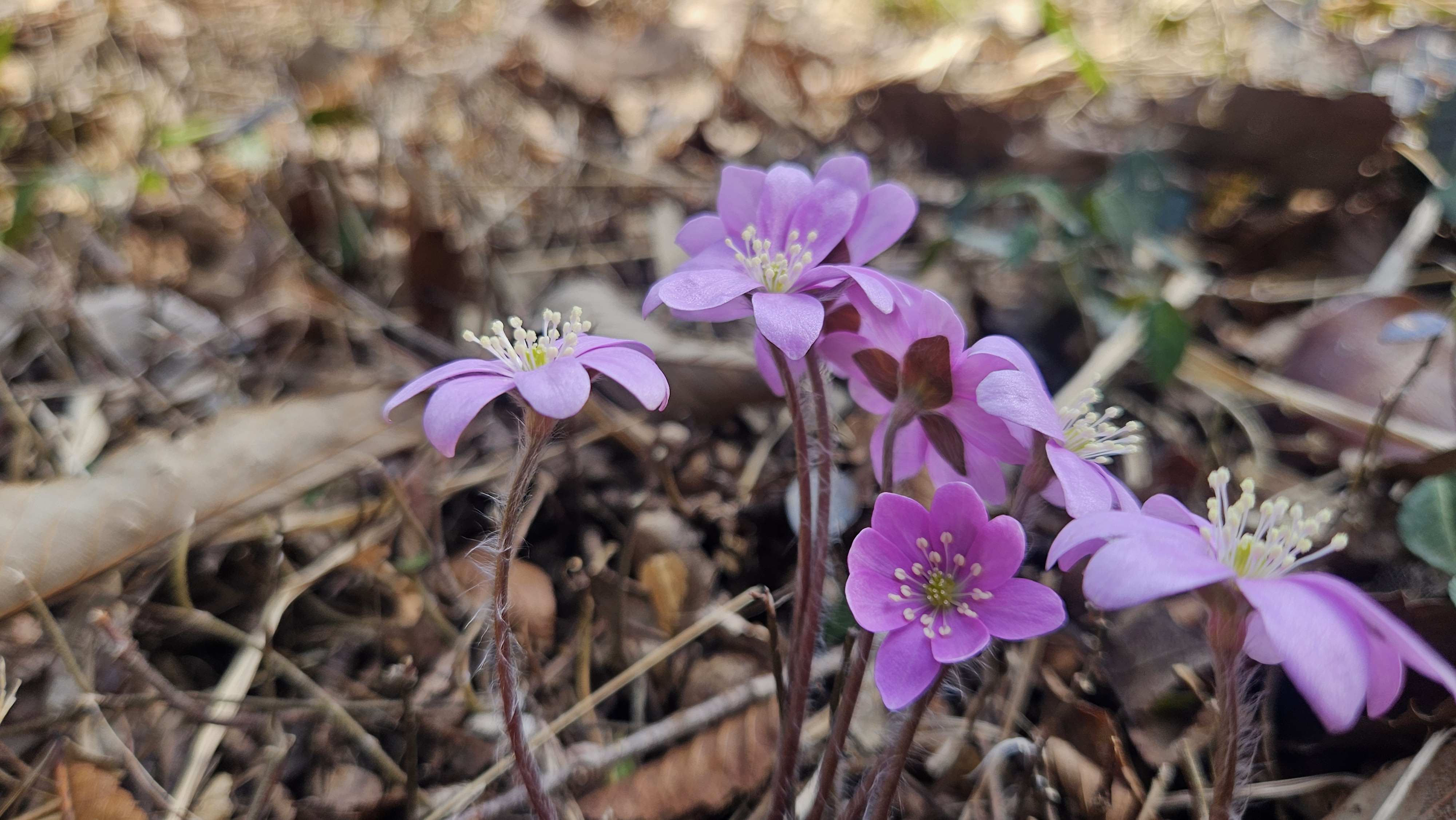 박지원 국회의원님의 100번째 금 귀 원래(매주 금요일 지역구 방문)을 진심으로 축하드리며 깊이 존경의 마음을 전합니다 첨부#4