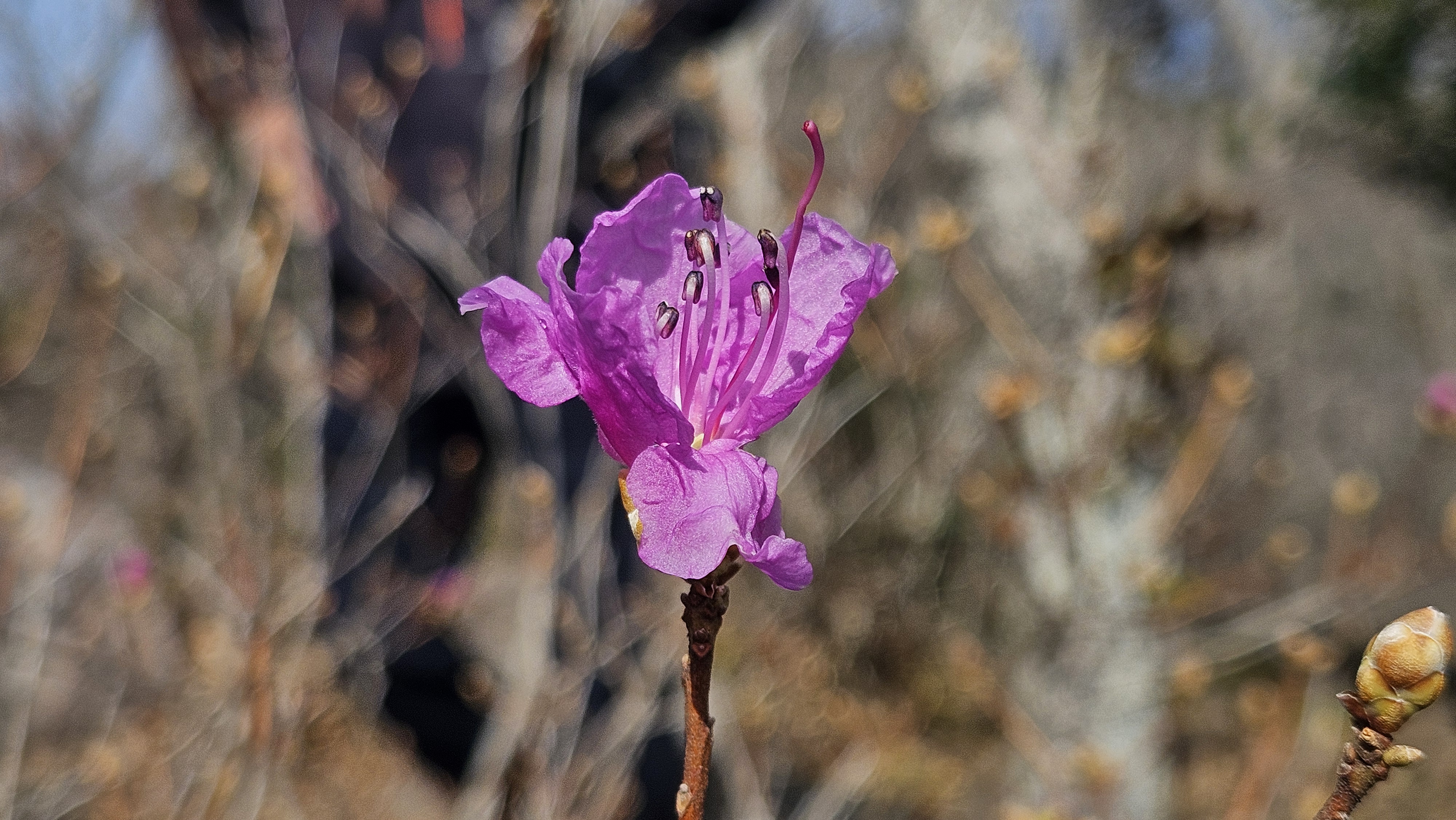 박지원 국회의원님의 100번째 금 귀 원래(매주 금요일 지역구 방문)을 진심으로 축하드리며 깊이 존경의 마음을 전합니다 첨부#5