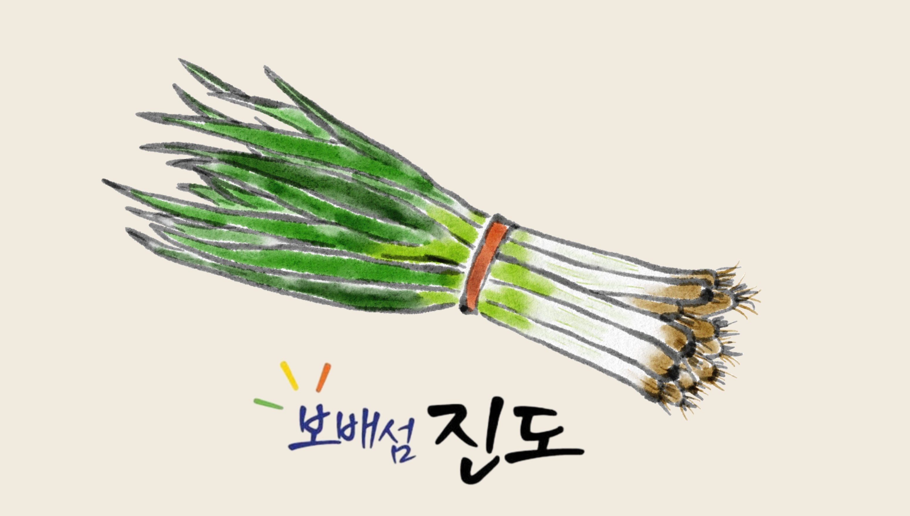 #흑백요리사 #진도대파#보배섬진도 이미지