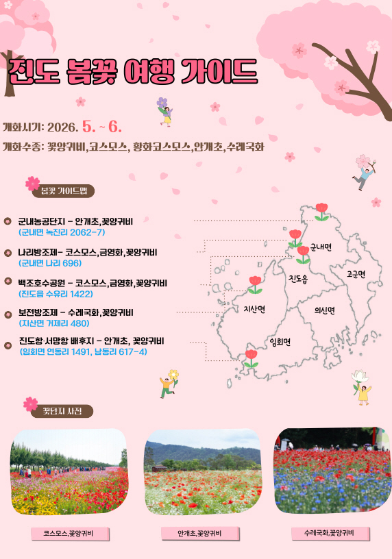 진도군, 대규모 꽃단지 조성… 늦봄 물들인 꽃 향연 첨부#1