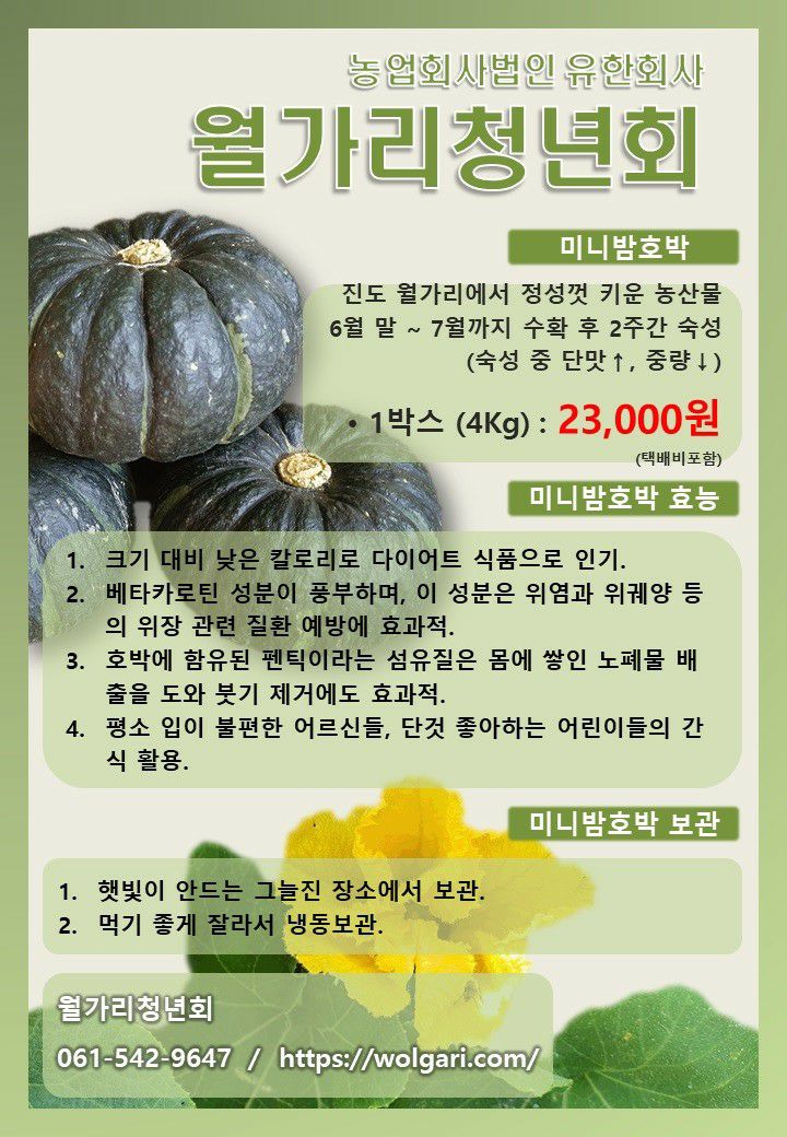 월가리 미니밤호박 1