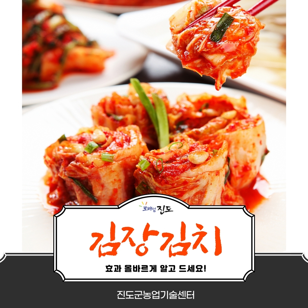 보배섬 진도 김장김치 효과 올바르게 알고 드세요! 진도군농업기술센터