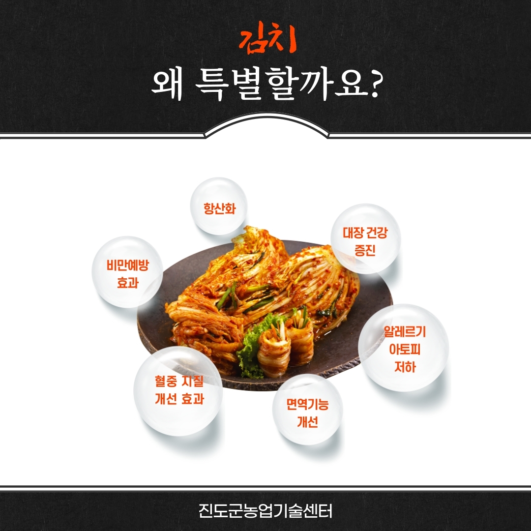 김치 왜 특별할까요? 항산화 비만예방 효과 대장 건강 증진 혈중 지질 개선 효과 알레르기 아토피 저하 면역기능 개선