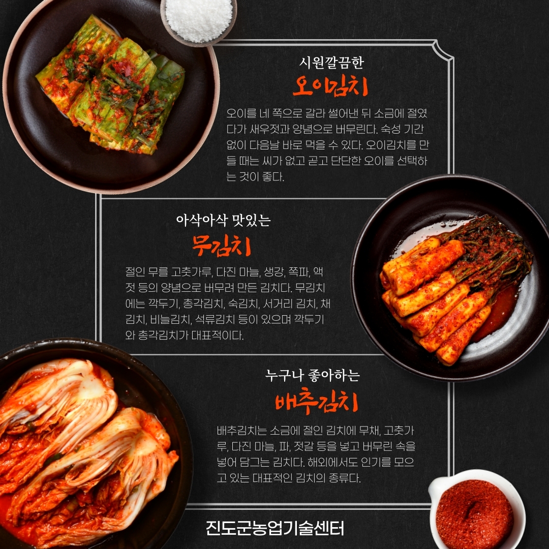시원깔끔한 오이김치 오이를 네 쪽으로 갈라 썰어낸 뒤 소금에 절였 다가 새우젓과 양념으로 버무린다. 숙성 기간 없이 다음날 바로 먹을 수 있다. 오이김치를 만 들 때는 씨가 없고 곧고 단단한 오이를 선택하 는 것이 좋다. 아삭아삭 맛있는 무김치 '절인 무를 고춧가루, 다진 마늘, 생강, 쪽파, 액
첫 등의 양념으로 버무려 만든 김치다. 무김치 '에는 깍두기, 총각김치, 숙김치, 서거리 김치, 채 김치, 비늘김치, 석류김치 등이 있으며 깍두기와 총각김치가 대표적이다. 누구나 좋아하는 배추김치 배추김치는 소금에 절인 김치에 무채, 고춧가 '루, 다진 마늘, 파, 젓갈 등을 넣고 버무린 속을 넣어 담그는 김치다. 해외에서도 인기를 모으 고 있는 대표적인 김치의 종류다. 진도군농업기술센터
