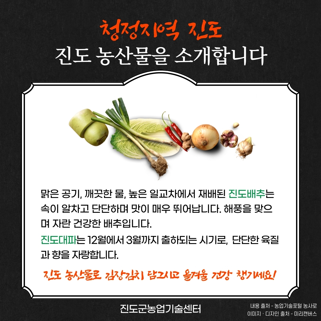 청정치역 집도 진도 농산물을 소개합니다. 맑은 공기, 깨끗한 물, 높은 일교차에서 재배된 진도배추는 속이 알차고 단단하며 맛이 매우 뛰어납니다. 해풍을 맞으 며 자란 건강한 배추입니다. 진도대파는 12월에서 3월까지 출하되는 시기로, 단단한 육질 과 향을 자랑합니다. 지도 농산물로 김장김치 담고 올겨울 건강 챙기세요! 진도군농업기술센터 내용 출처 - 농업기술포털 농사로 이미지 · 디자인 출처 - 미리캔버스