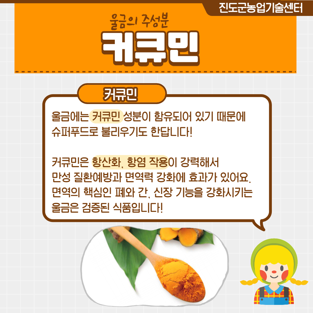 진도군농업기술센터 울금의 주성분 커크민 커큐민 울금에는 커큐민 성분이 함유되어 있기 때문에 슈퍼푸드로 불리우기도 한답니다! 커큐민은 항산화, 항염 작용이 강력해서 만성 질환예방과 면역력 강화에 효과가 있어요. 면역의 핵심인 폐와 간, 신장 기능을 강화시키는 울금은 검증된 식품입니다!!