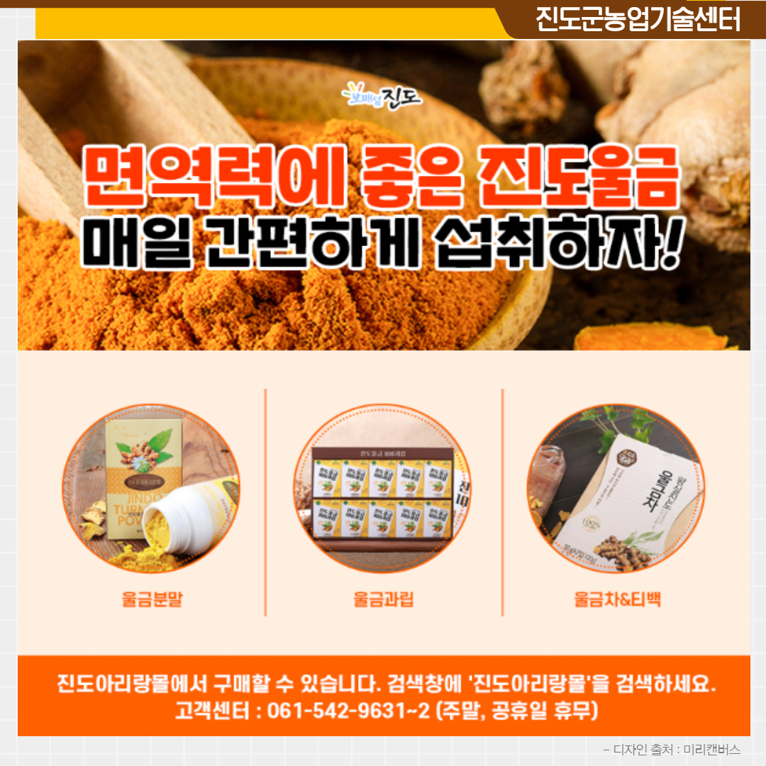 진도군농업기술센터 보배섬 진도 면역력에 좋은 선도 매일관편하게 섭취하자! 울금분말 울금분말 울금차&티백 진도아리랑몰에서 구매할 수 있습니다. 검색창에 '진도아리랑몰'을 검색하세요. 고객센터 : 061-542-9631~2 (주말, 공휴일 휴무) - 디자인 출처 : 미리캔버스