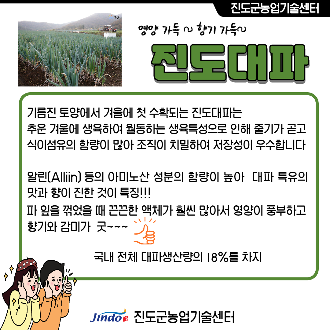 진도군농업기술센터 영양 가득~ 형기 가득~ 진도대파 기름진 토양에서 겨울에 첫 수확되는 진도대파는 추운 겨울에 생육하여 월동하는 생육특성으로 인해 줄기가 곧고 식이섬유의 함량이 많아 조직이 치밀하여 저장성이 우수합니다. 알린(Alliin)등의 아미노산 성분의 함량이 높아 대파 특유의 맛과 향이 진한 것이 특징!!! 파 잎을 꺾었을 때 끈끈한 액체가 훨씬 많아서 영양이 풍부하고 향기와 감미가 굿~~~ 국내 전체 대파생산량 18% 차지 Jindo 진도군농업기술센터