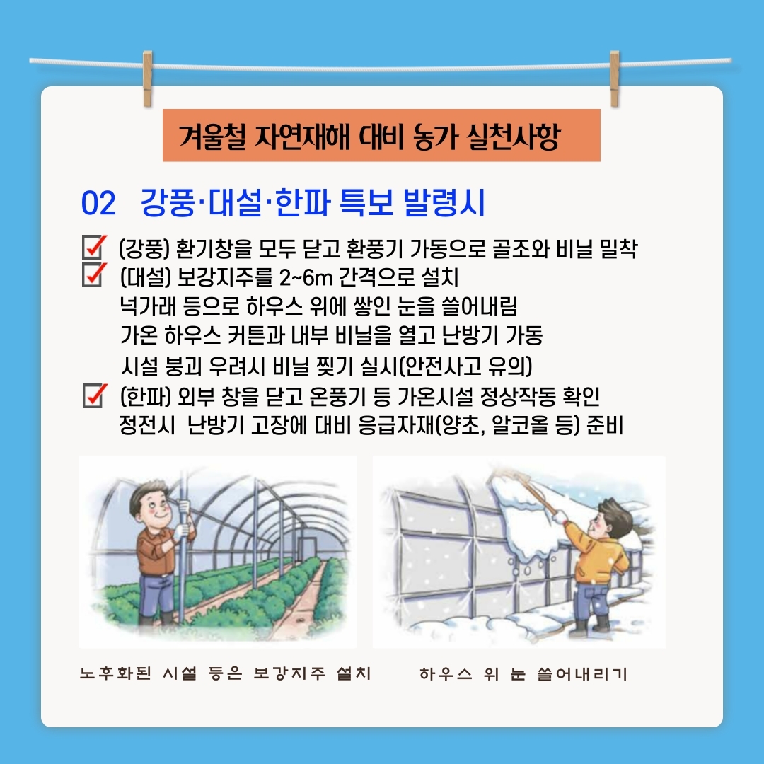 겨울철 자연재해 대비 농가 실천사항 02 강풍·대설·한파 특보 발령시 (강풍) 환기창을 모두 닫고 환풍기 가동으로 골조와 비닐 밀착 대설) 보강지주를 2~6m 간격으로 설치 넉가래 등으로 하우스 위에 쌓인 눈을 쓸어내림 가온 하우스 커튼과 내부 비닐을 열고 난방기 가동 시설 붕괴 우려시 비닐 찢기 실시(안전사고 유의) (한파) 외부 창을 닫고 온풍기 등 가온시설 정상작동 확인 정전시 난방기 고장에 대비 응급자재(양초, 알코올 등) 준비 노후화된 시설 등은 보강지주 설치 하우스 위 눈 쓸어내리기