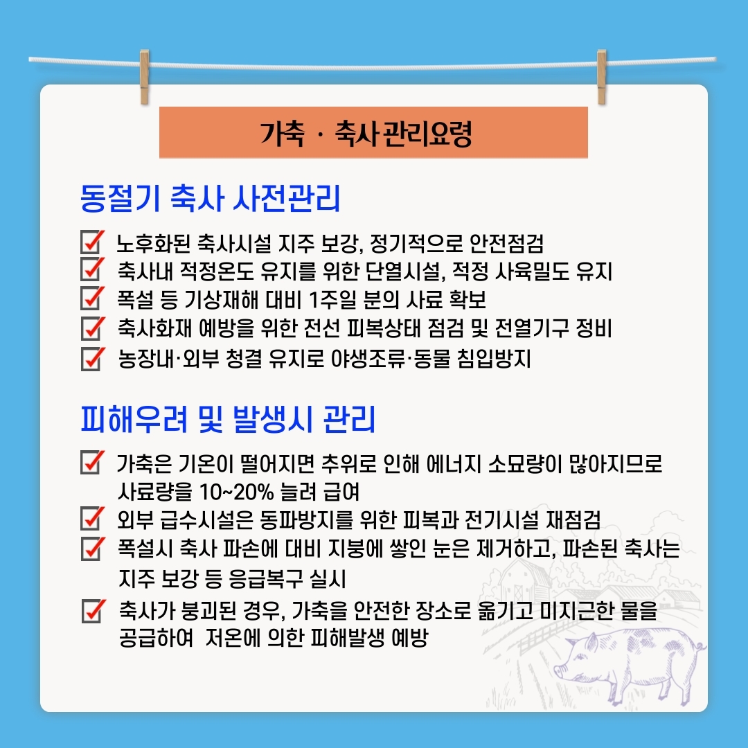 가축 · 축사관리요령 동절기 축사 사전관리 노후화된 축사시설 지주 보강, 정기적으로 안전점검 축사내 적정온도 유지를 위한 단열시설, 적정 사육밀도 유지 폭설 등 기상재해 대비 1주일 분의 사료 확보 지 축사화재 예방을 위한 전선 피복상태 점검 및 전열기구 정비 자 농장내·외부 청결 유지로 야생조류 동물 침입방지 피해우려 및 발생시 관리 가축은 기온이 떨어지면 추위로 인해 에너지 소묘량이 많아지므로 사료량을 10~20% 늘려 급여 외부 급수시설은 동파방지를 위한 피복과 전기시설 재점검 폭설시 축사 파손에 대비 지붕에 쌓인 눈은 제거하고, 파손된 축사는 지주 보강 등 응급복구 실시 축사가 붕괴된 경우, 가축을 안전한 장소로 옮기고 미지근한 물을 공급하여 저온에 의한 피해발생 예방