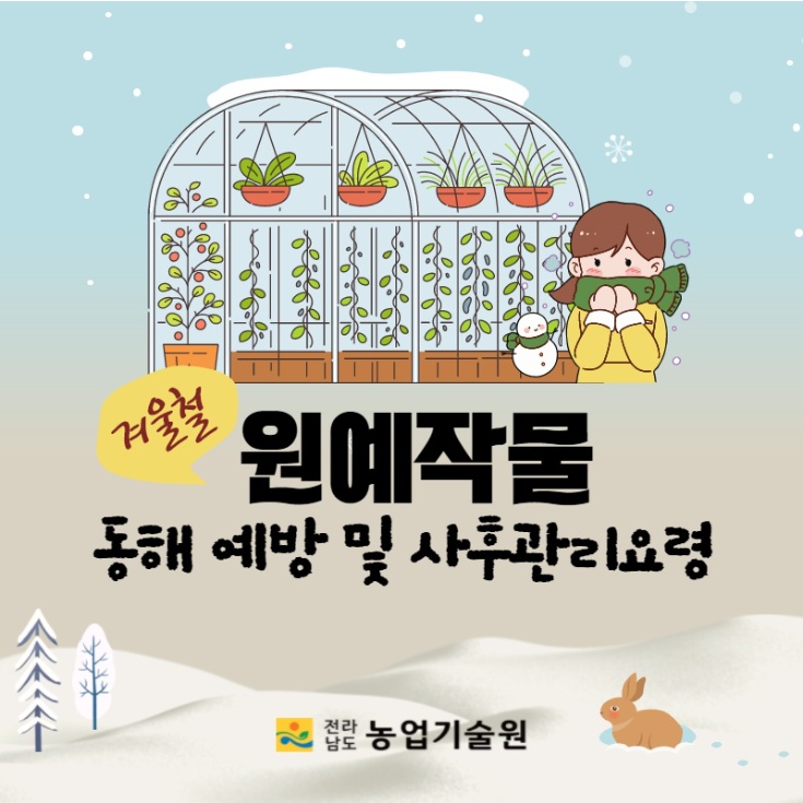 겨울철 원예작물 동해 예방 및 사후관리요령 전라남도 농업기술원