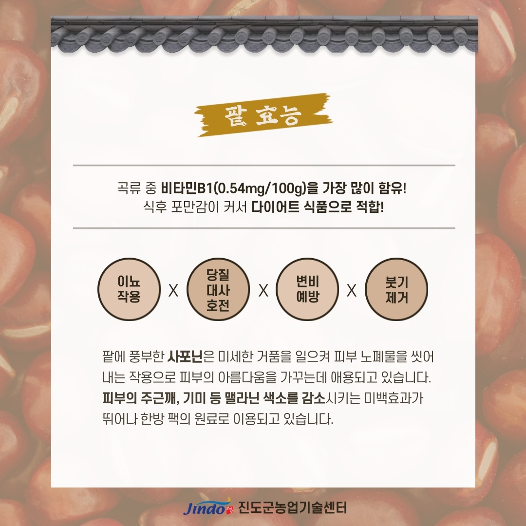 팥 효능 곡류 중 비타민B1(0.54mg/100g)을 가장 많이 함유! 식후 포만감이 커서 다이어트 식품으로 적합! 이뇨작용X당질대사호전X변비예방X붓기제거 팥에 풍부한 사포닌은 미세한 거품을 일으켜 피부 노폐물을 씻어 내는 작용으로 피부의 아름다움을 가꾸는데 애용되고 있습니다. 피부의 주근깨, 기미 등 멜라닌 색소를 감소시키는 미백효과가 뛰어나 한방 팩의 원료로 이용되고 있습니다. Jindo 진도군농업기술센터